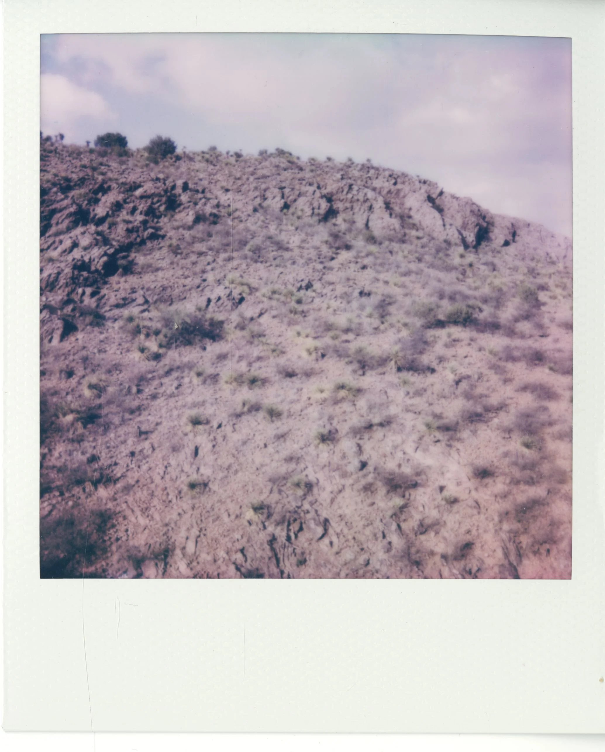polaroid (88).jpg