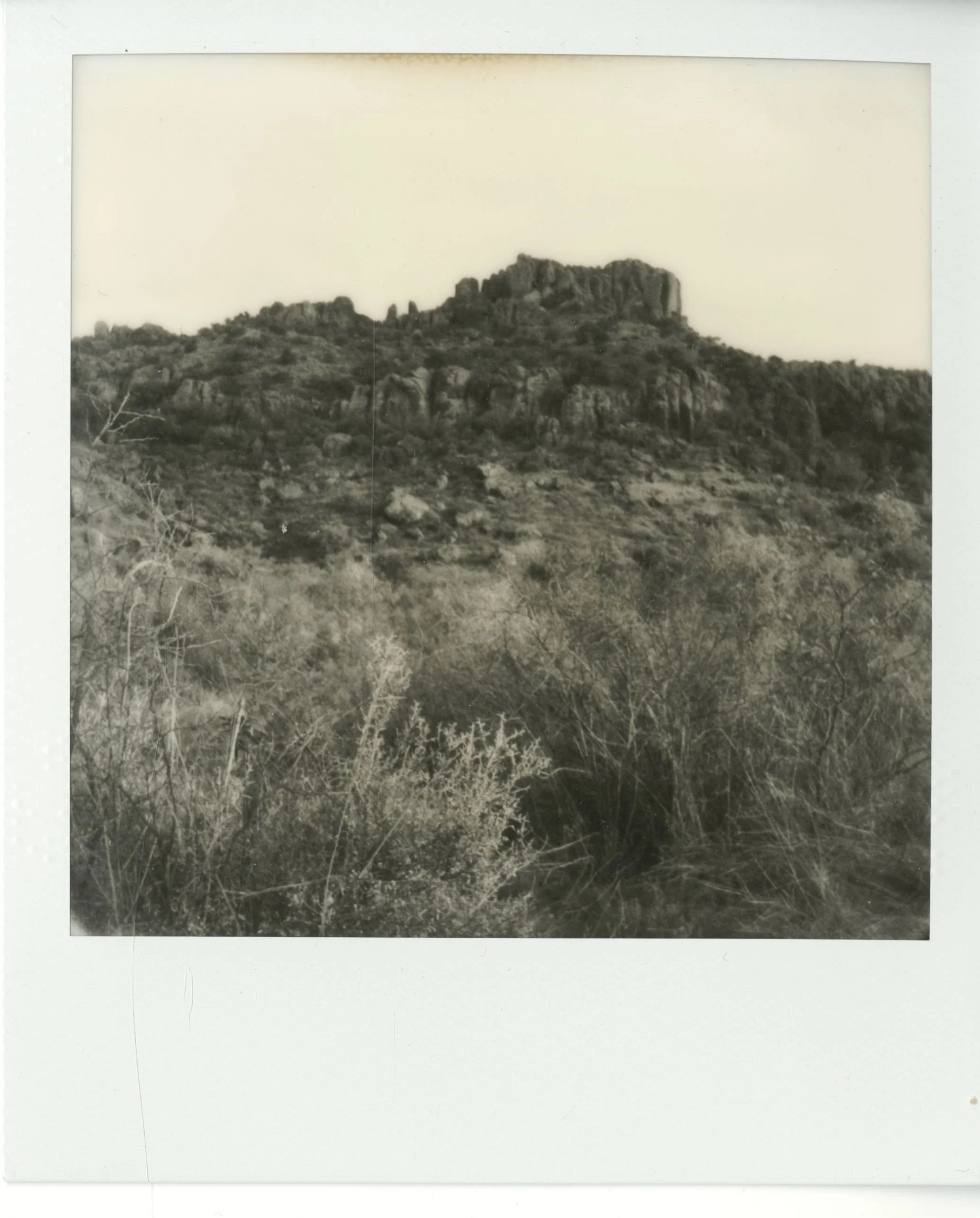 polaroid (89).jpg