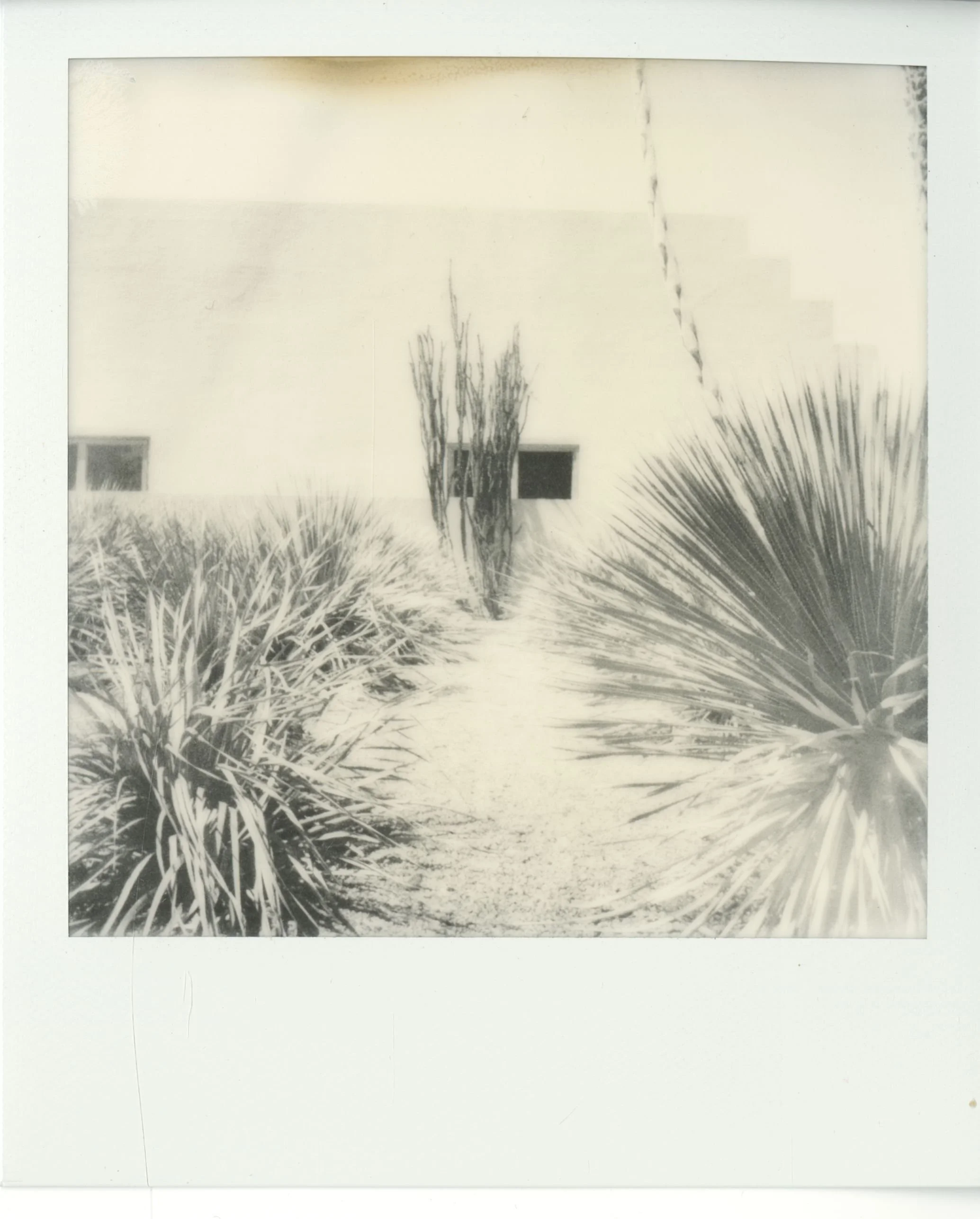 polaroid (93).jpg