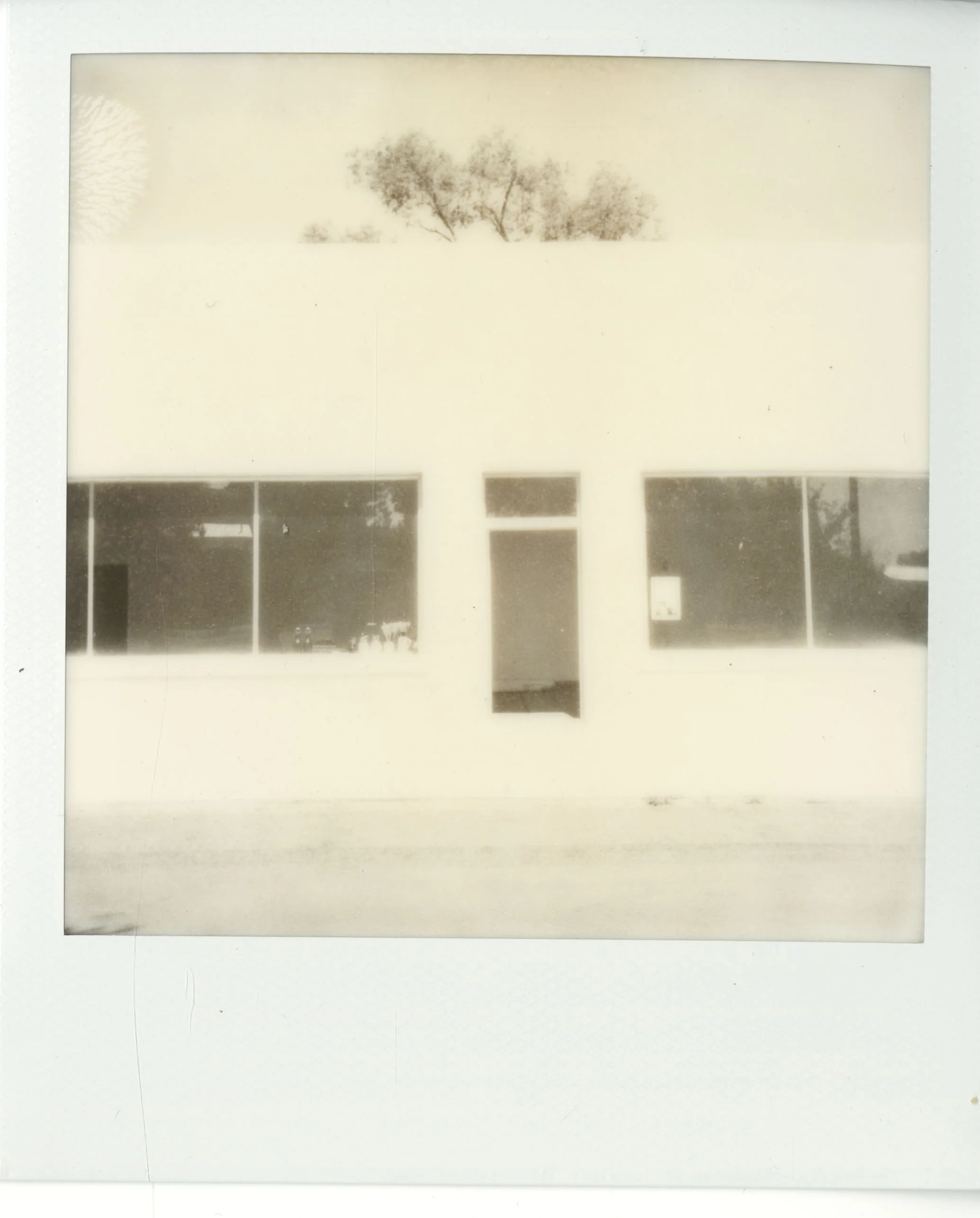 polaroid (95).jpg