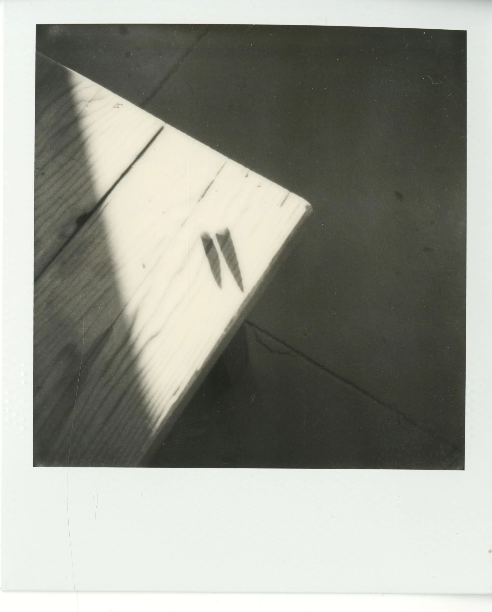 polaroid (101).jpg