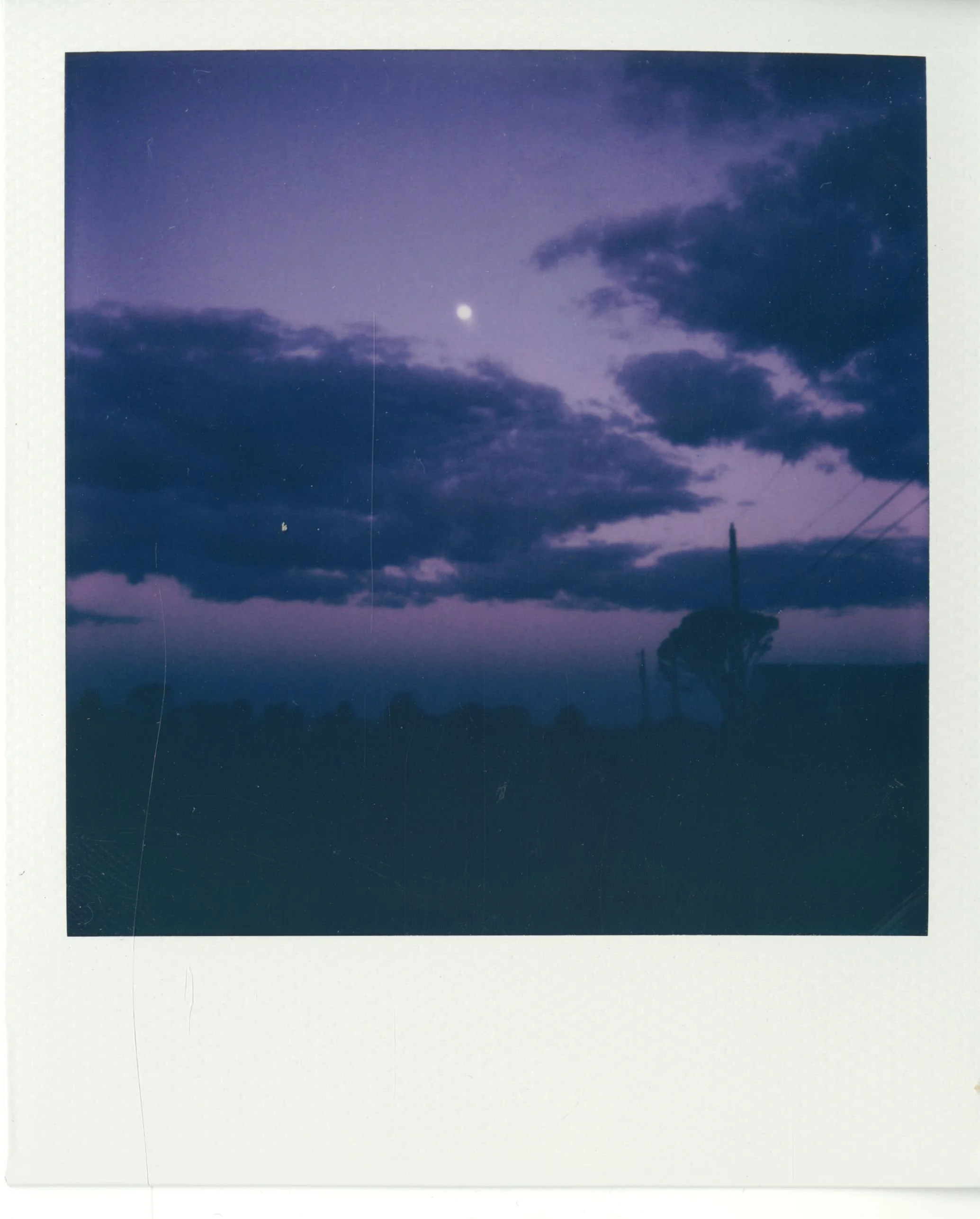 polaroid (108).jpg