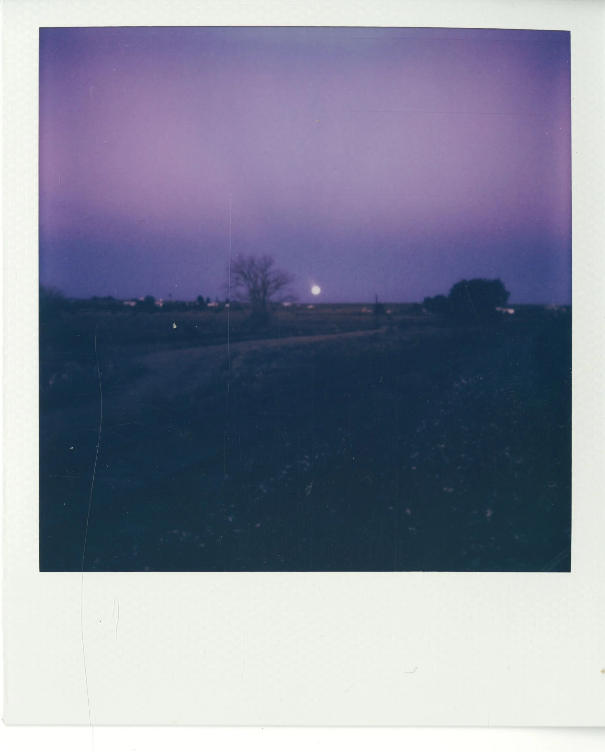 polaroid (110).jpg