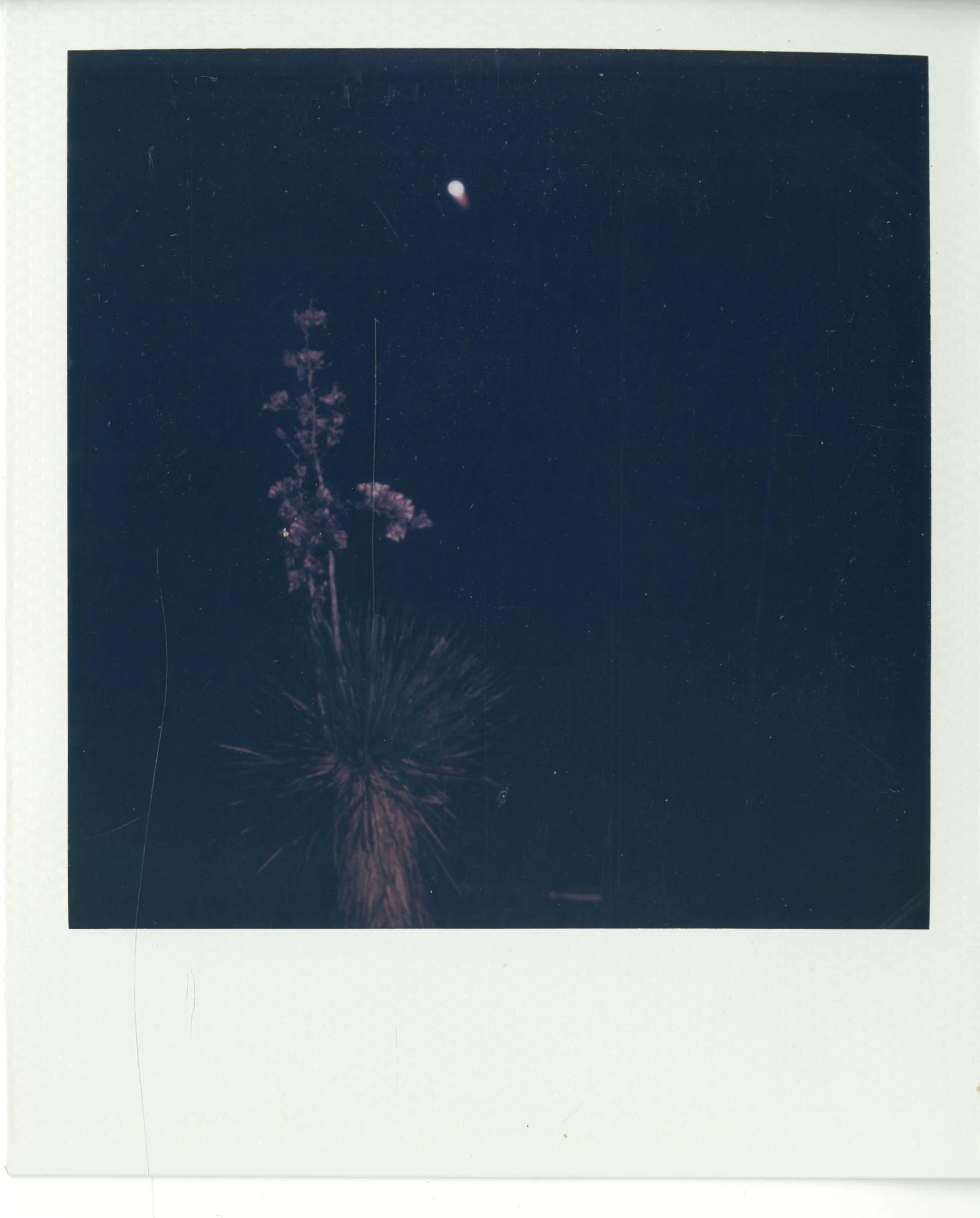 polaroid (113).jpg