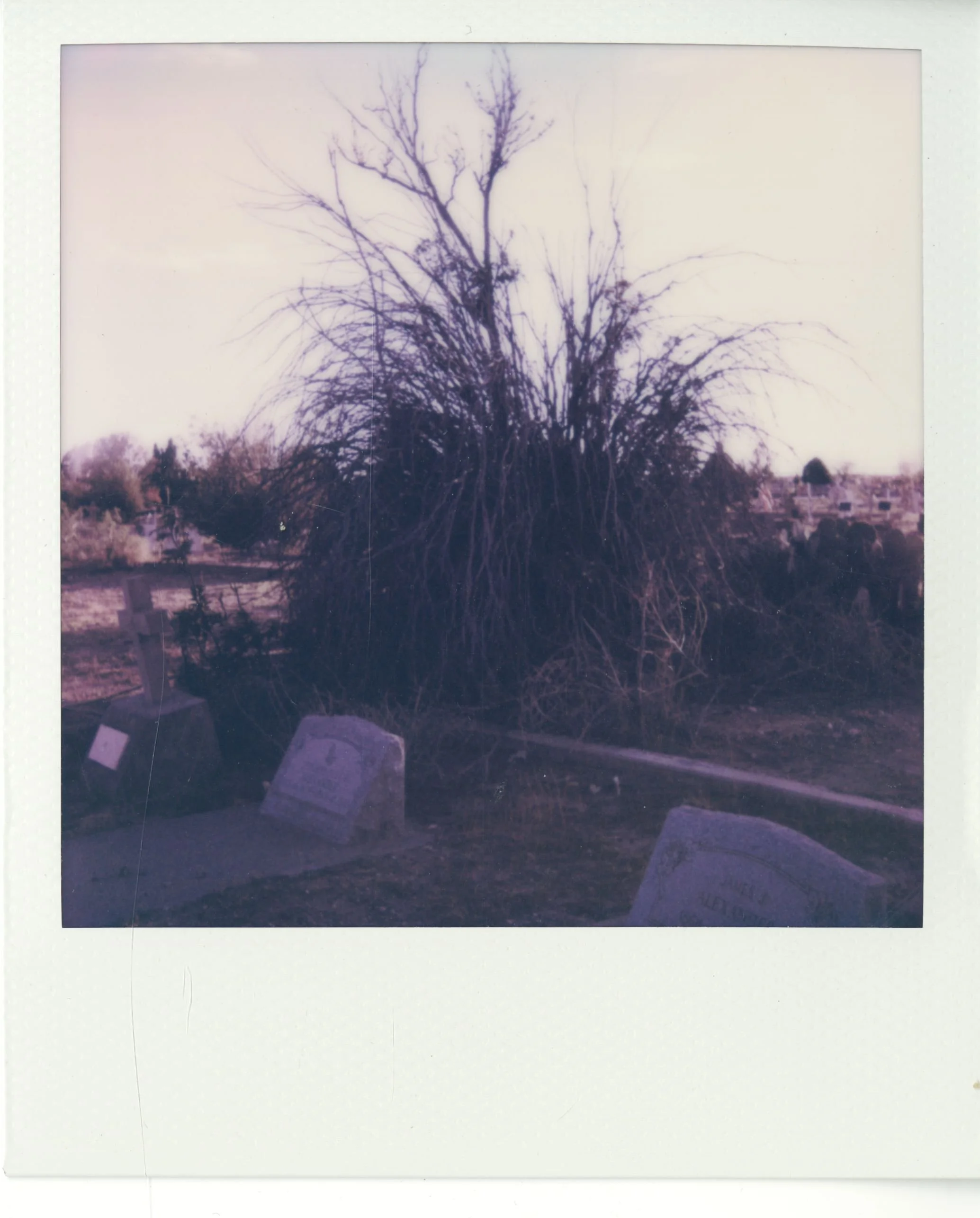 polaroid (114).jpg