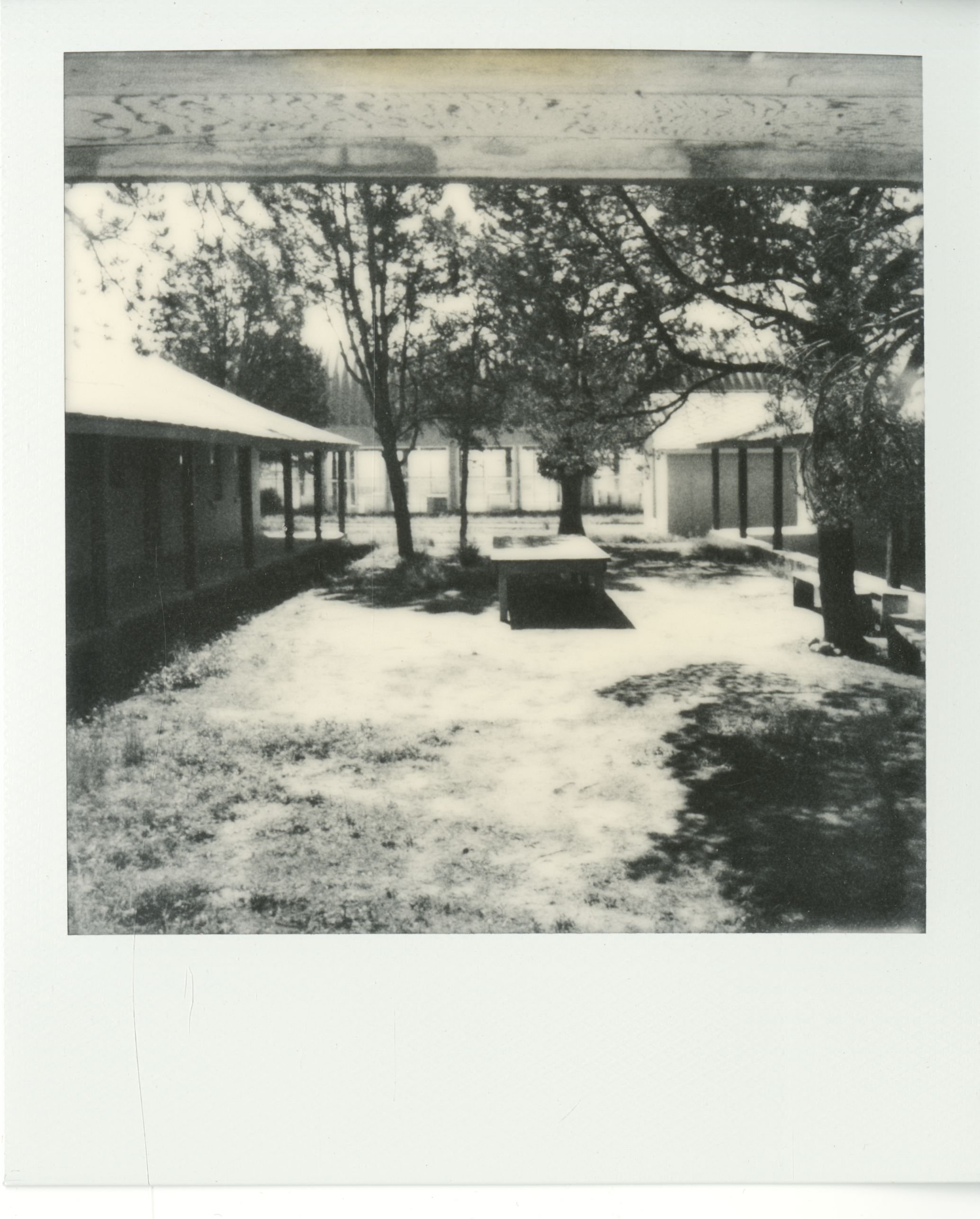 polaroid (120).jpg