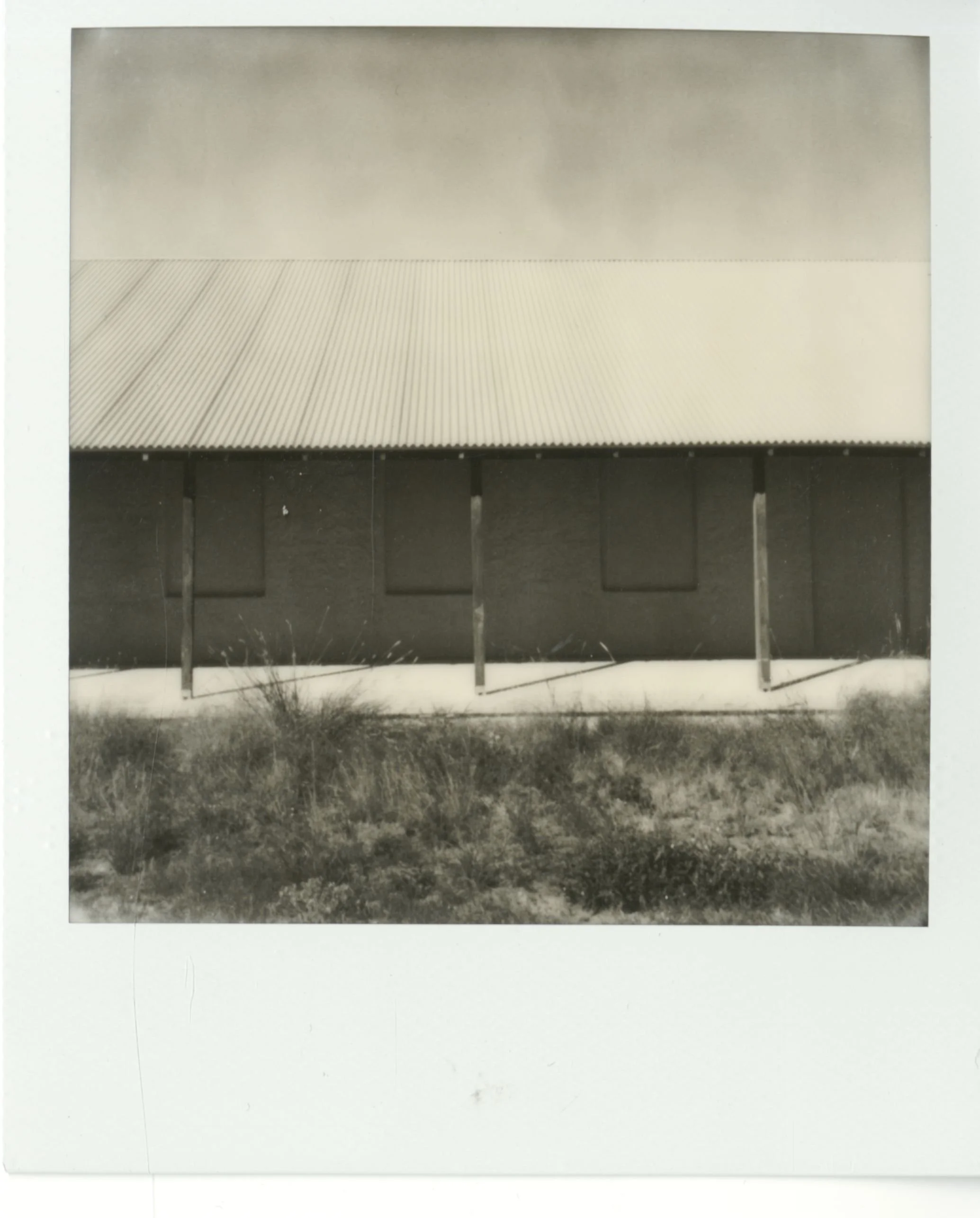 polaroid (124).jpg