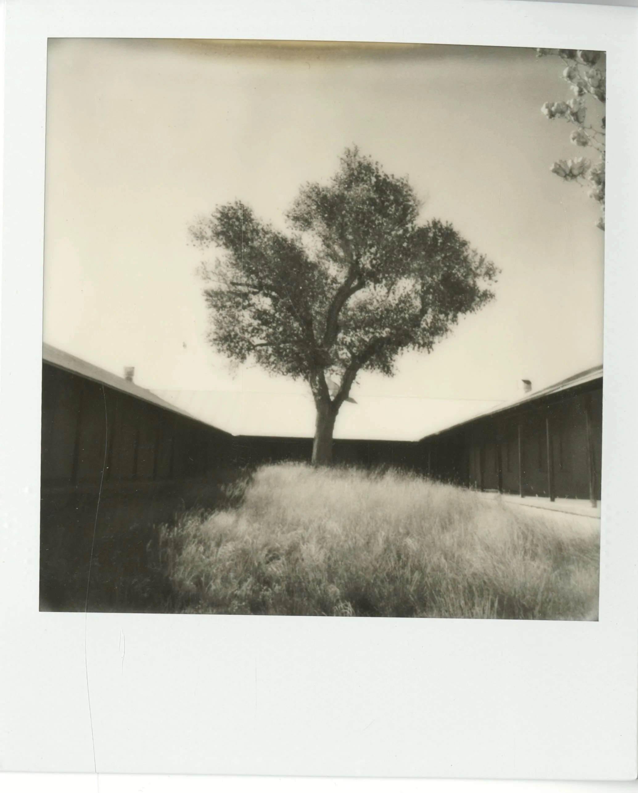 polaroid (125).jpg