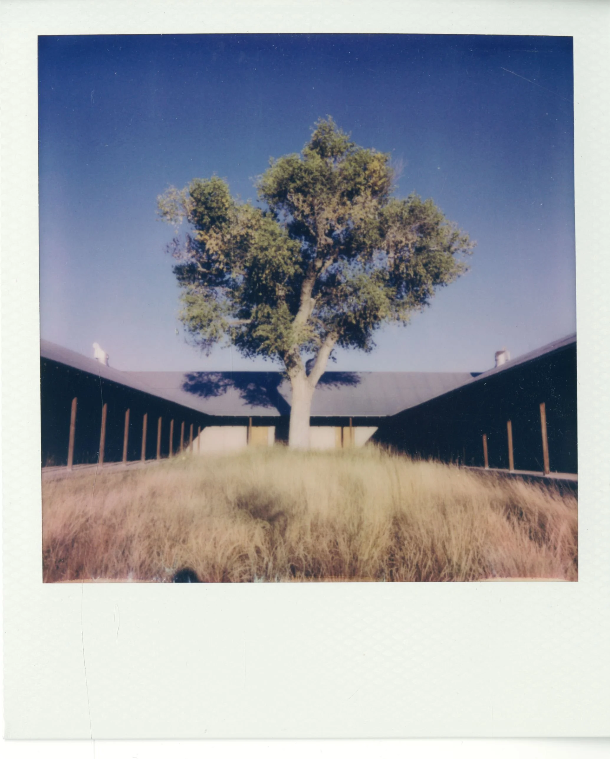 polaroid (129).jpg