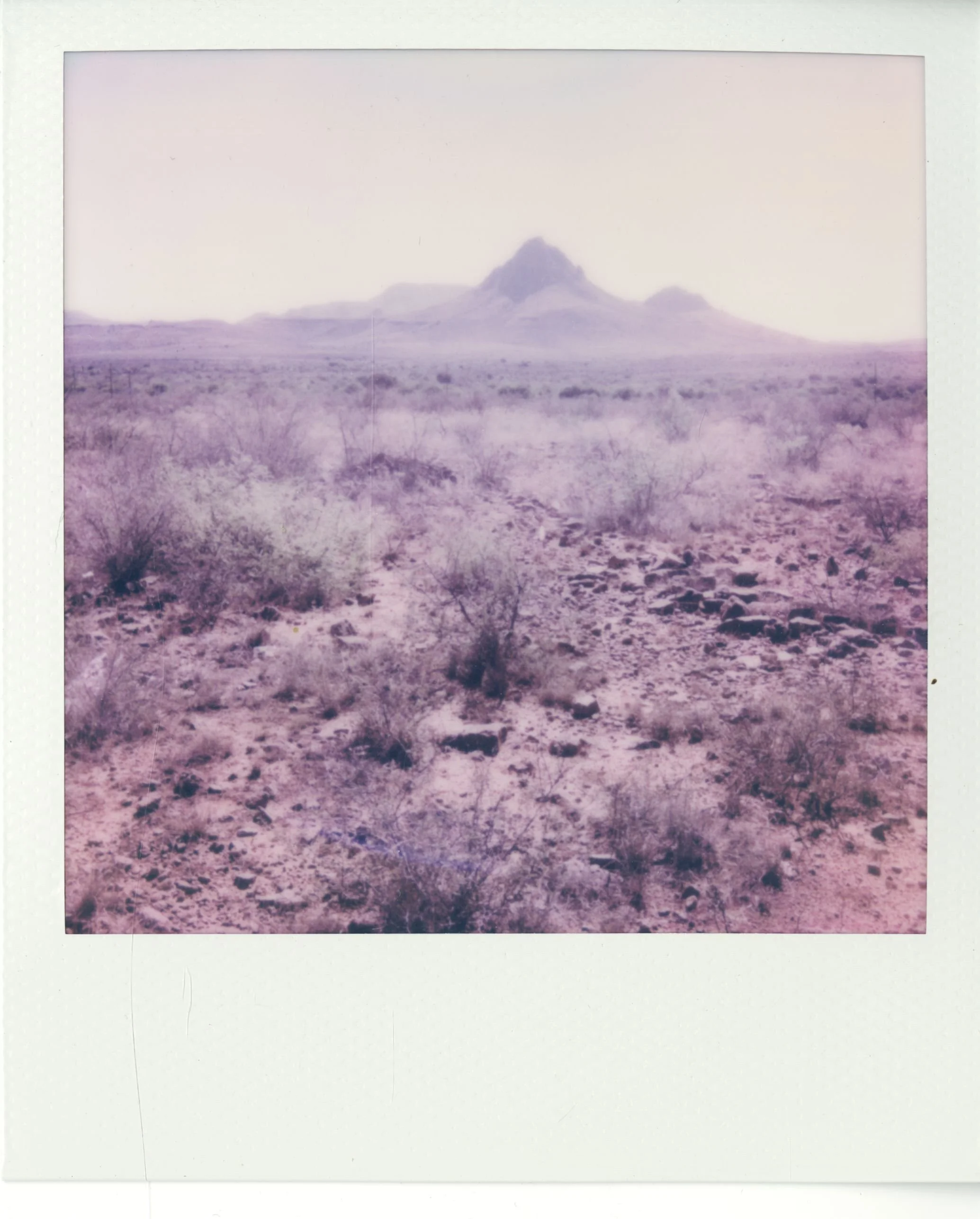 polaroid (137).jpg