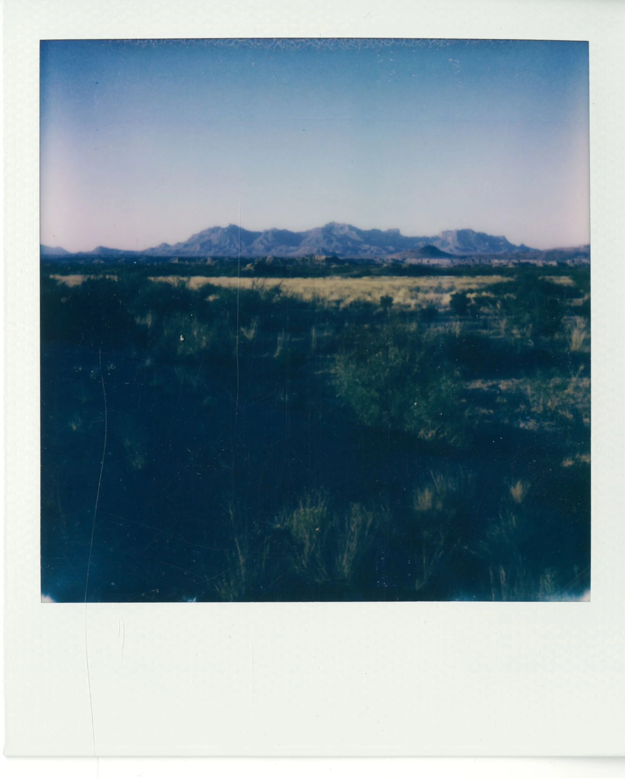 polaroid (139).jpg