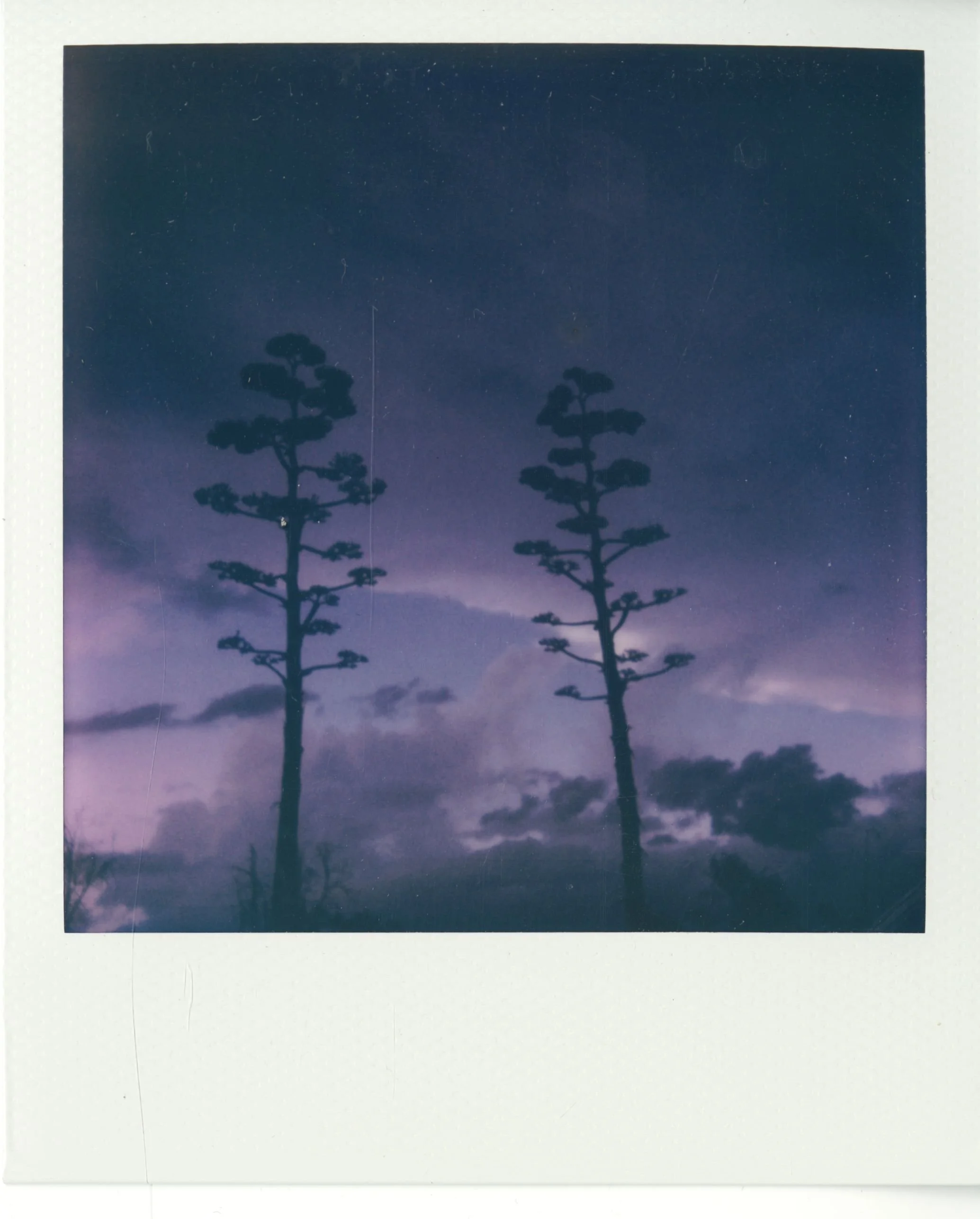polaroid (142).jpg