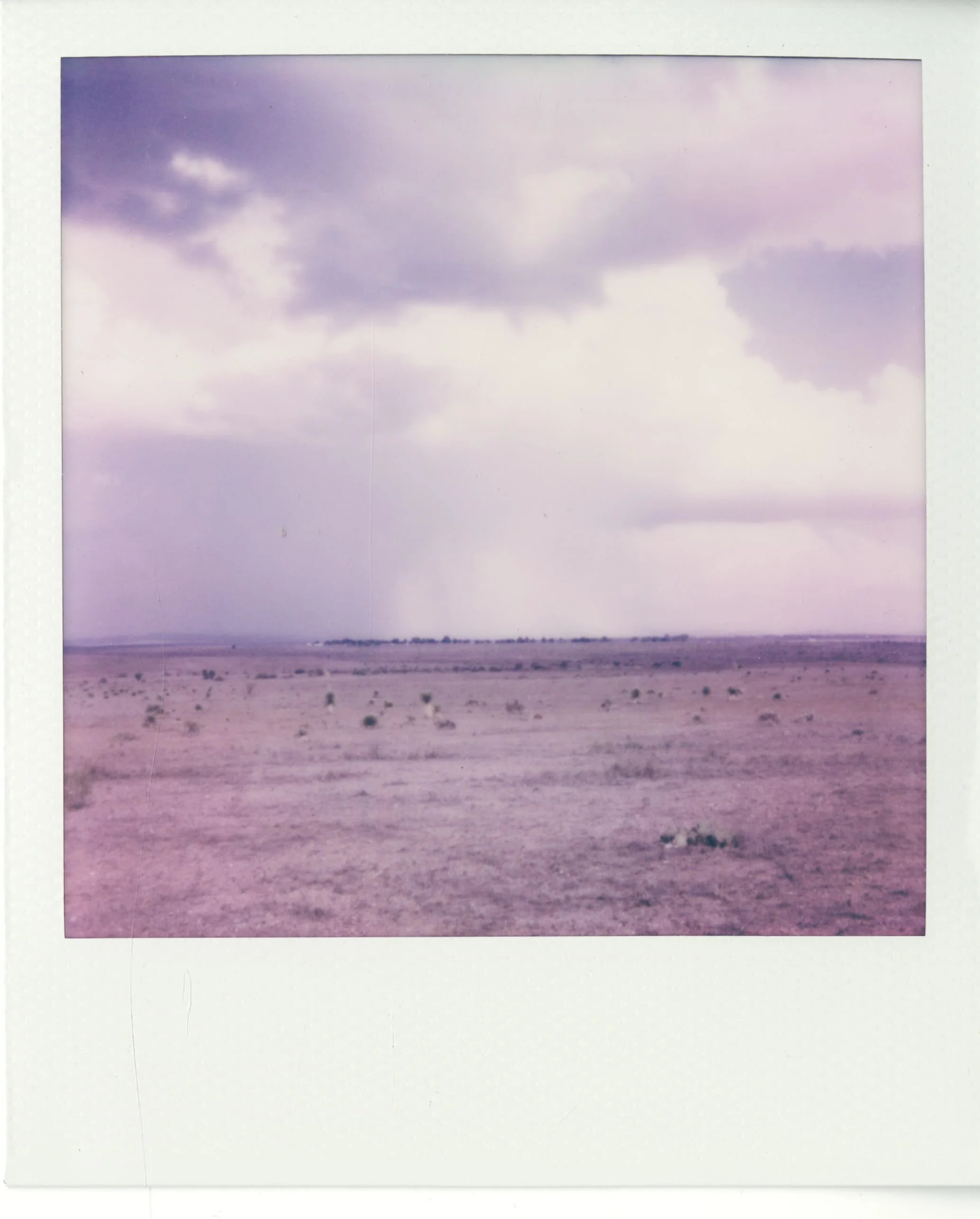 polaroid (143).jpg