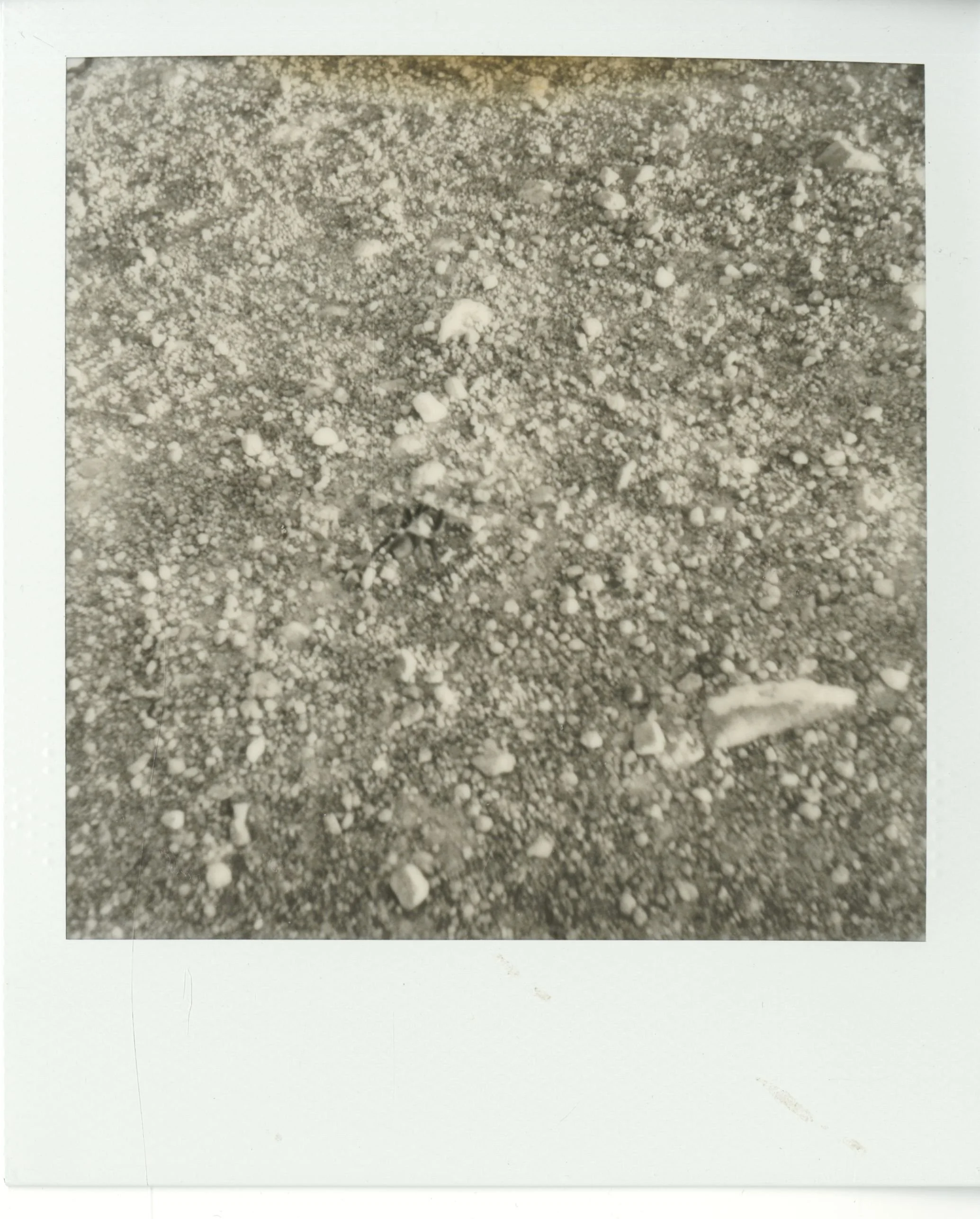 polaroid (151).jpg