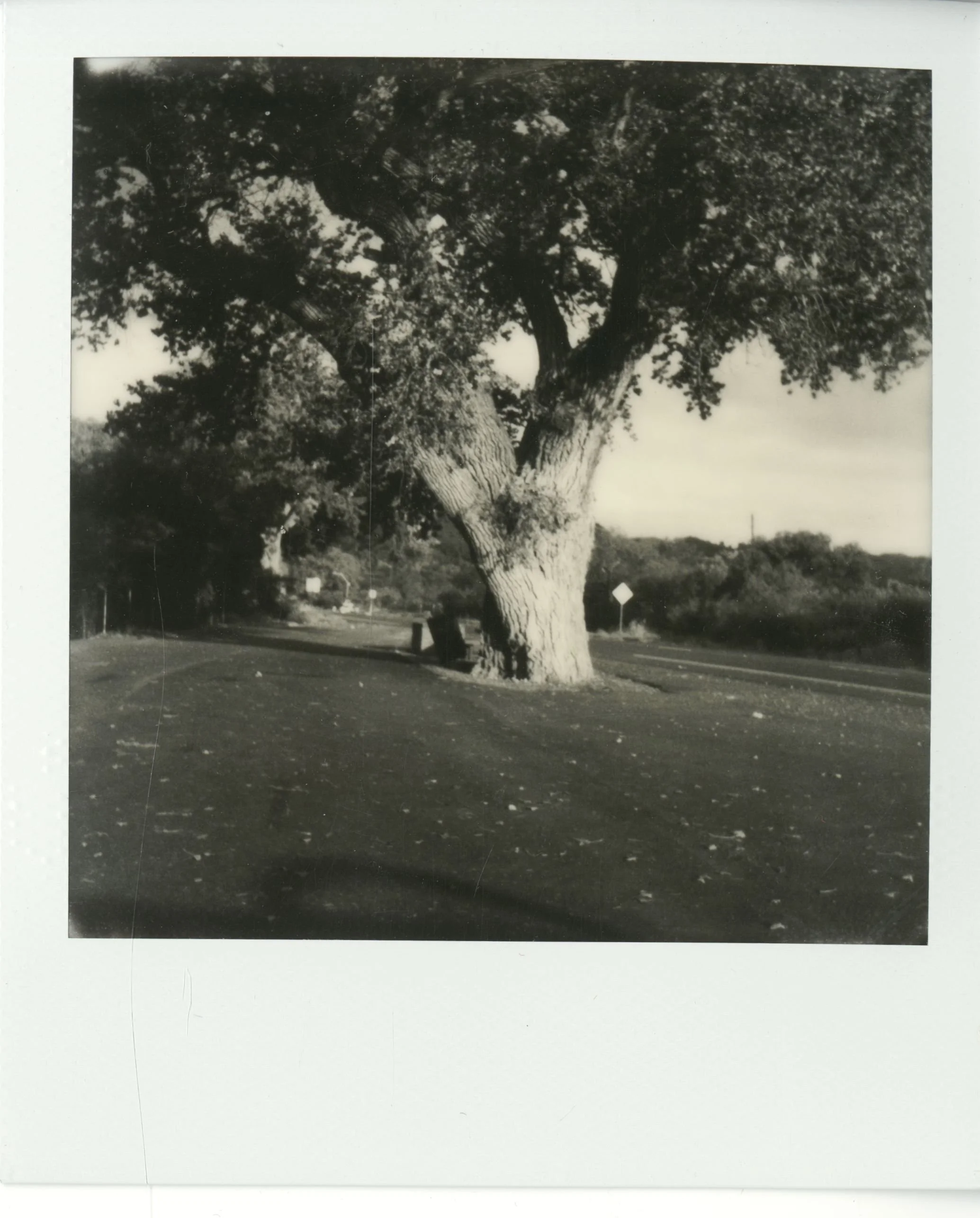 polaroid (152).jpg