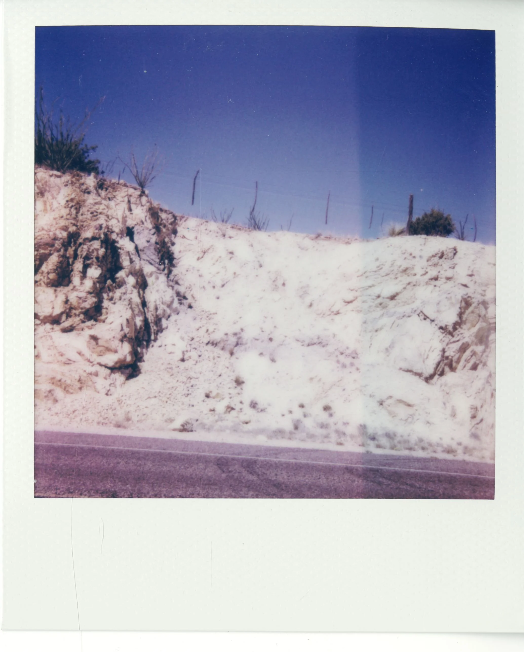 polaroid (154).jpg