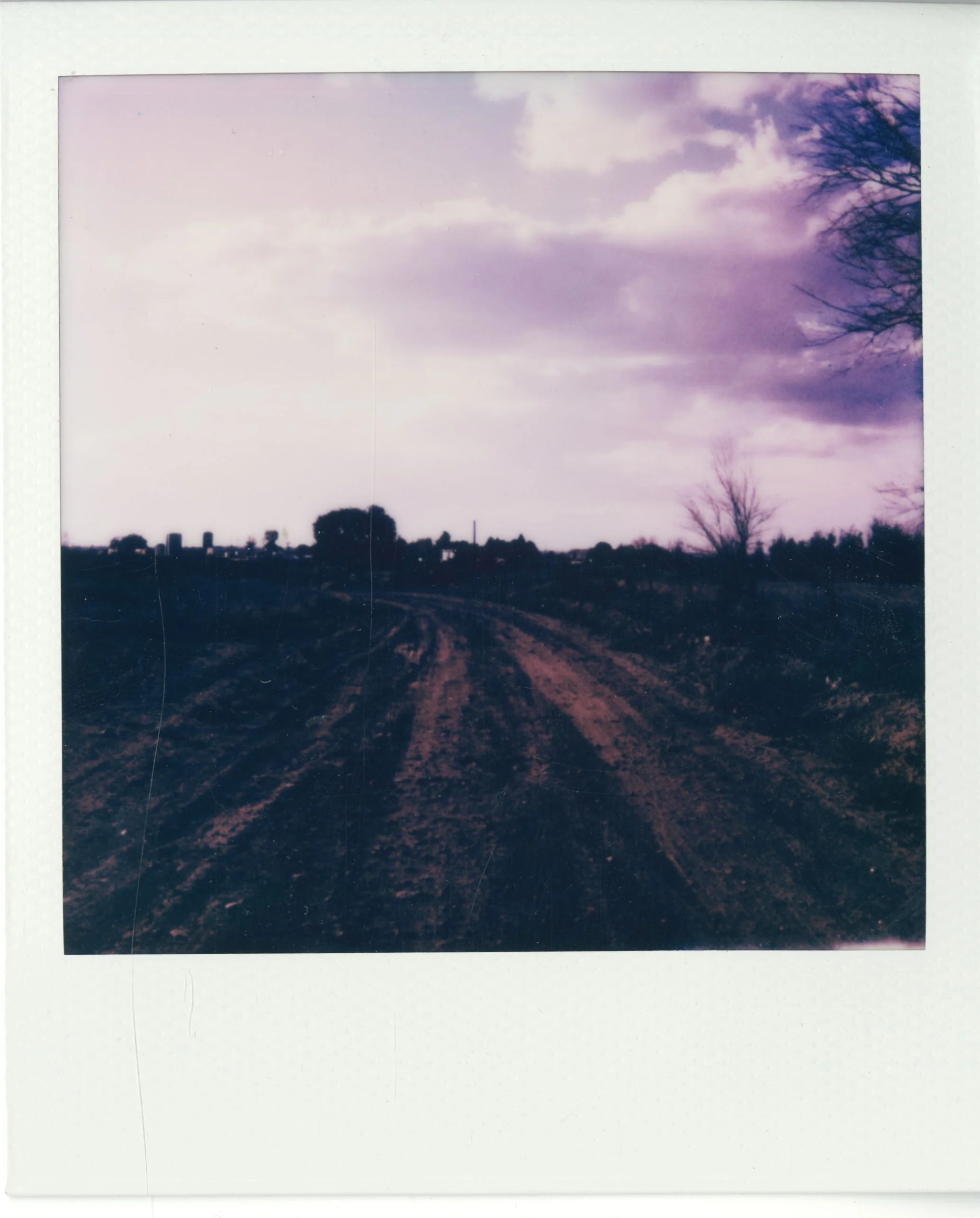 polaroid (156).jpg
