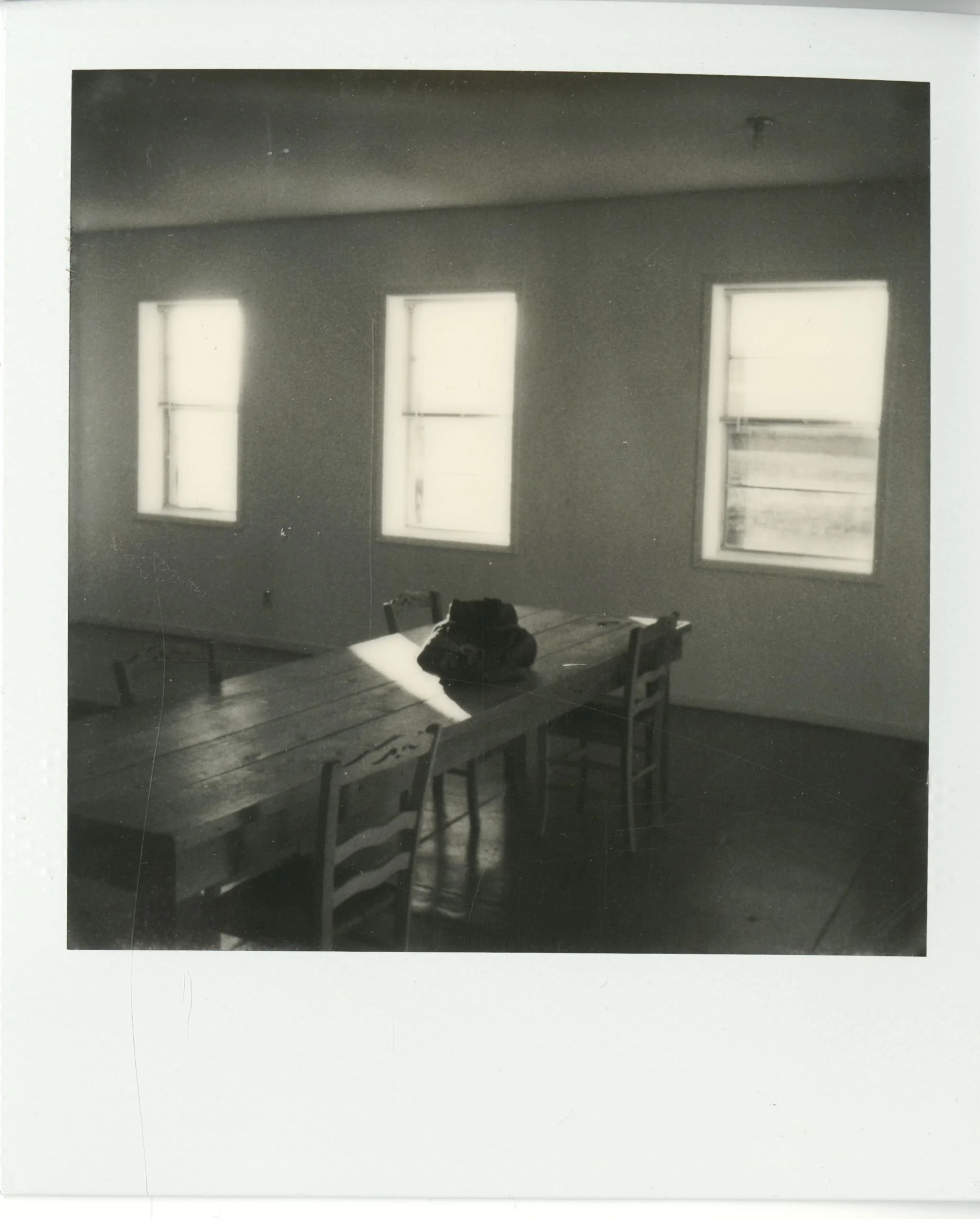 polaroid (159).jpg