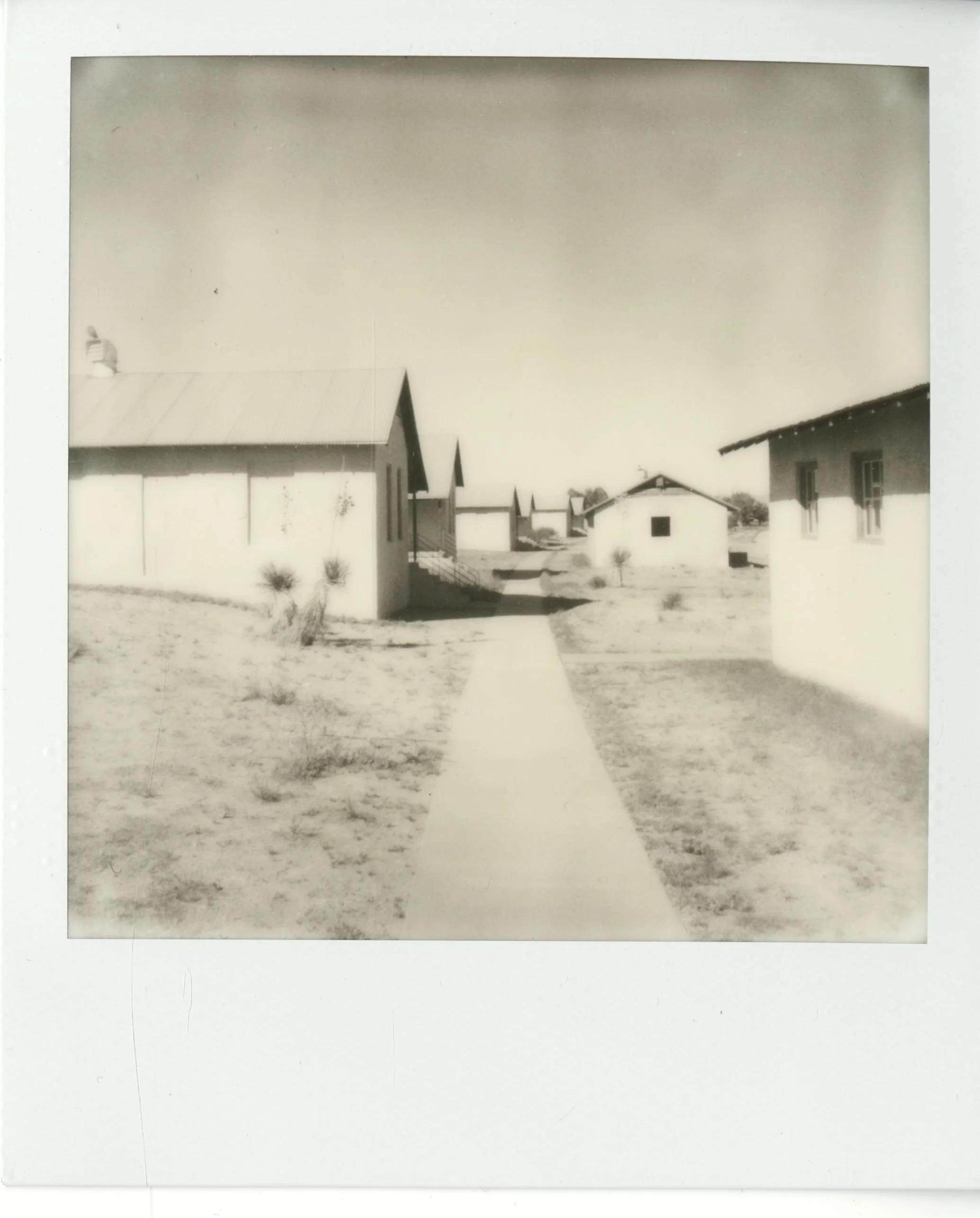 polaroid (160).jpg