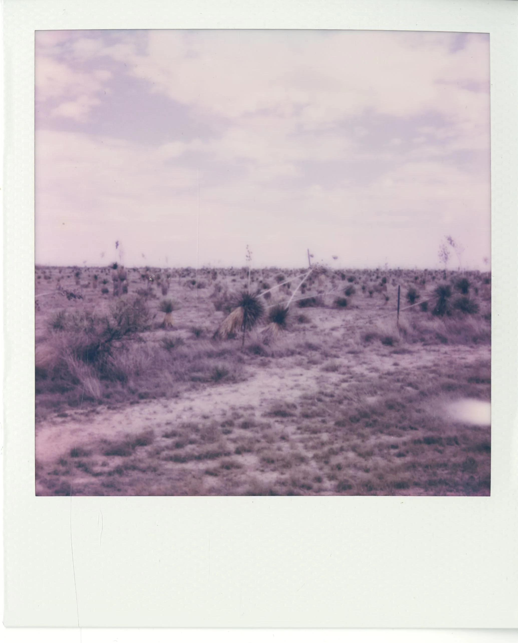 polaroid (161).jpg