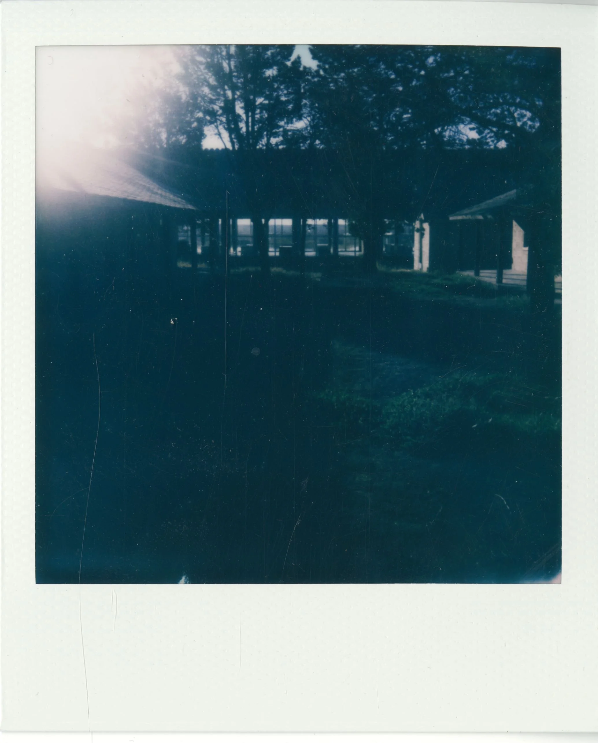 polaroid (164).jpg