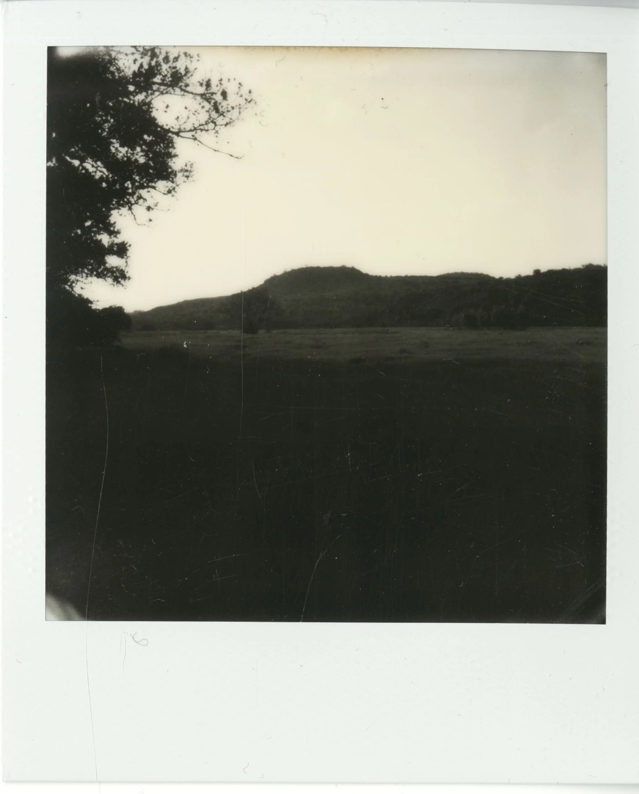 polaroid (165).jpg