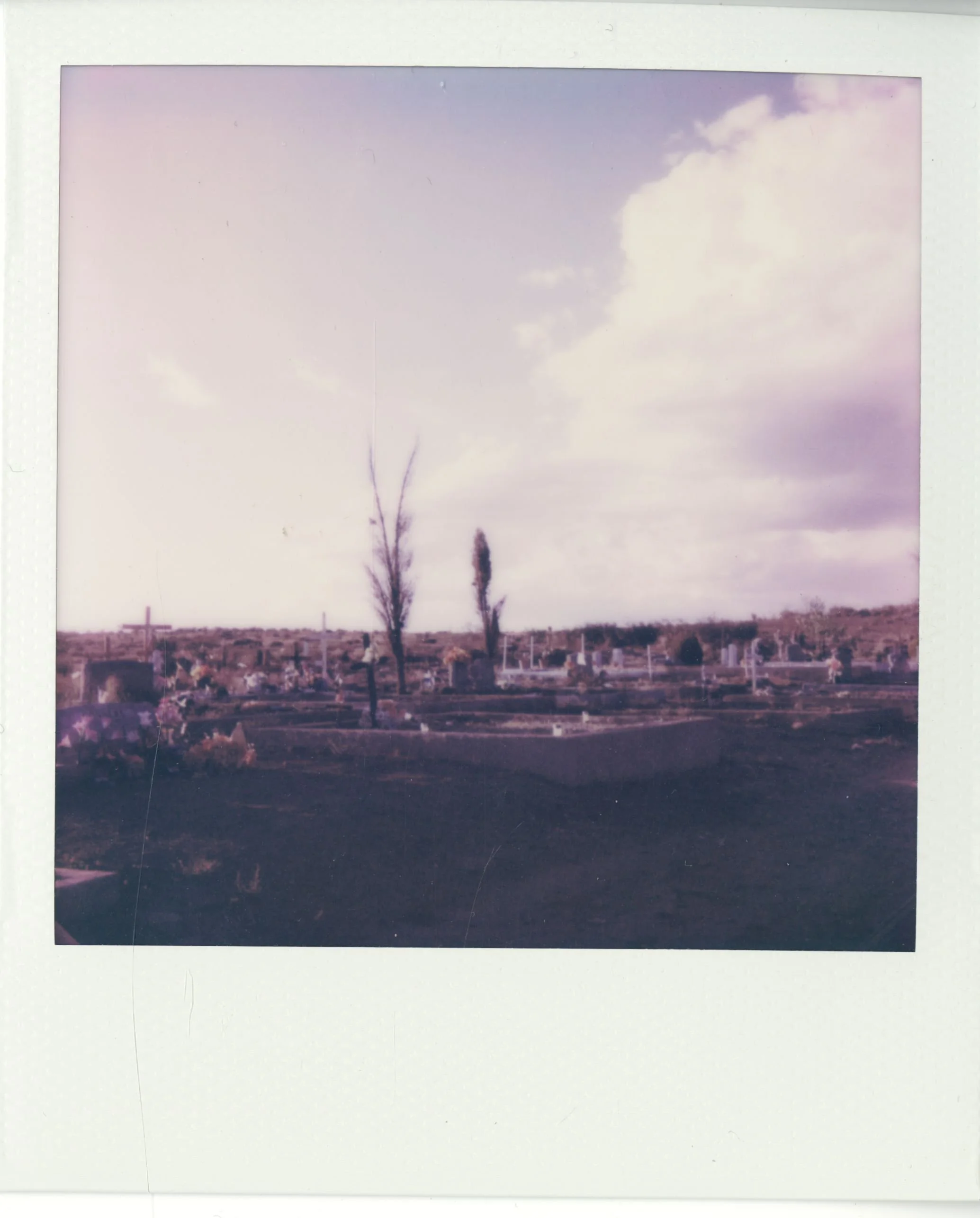 polaroid (169).jpg