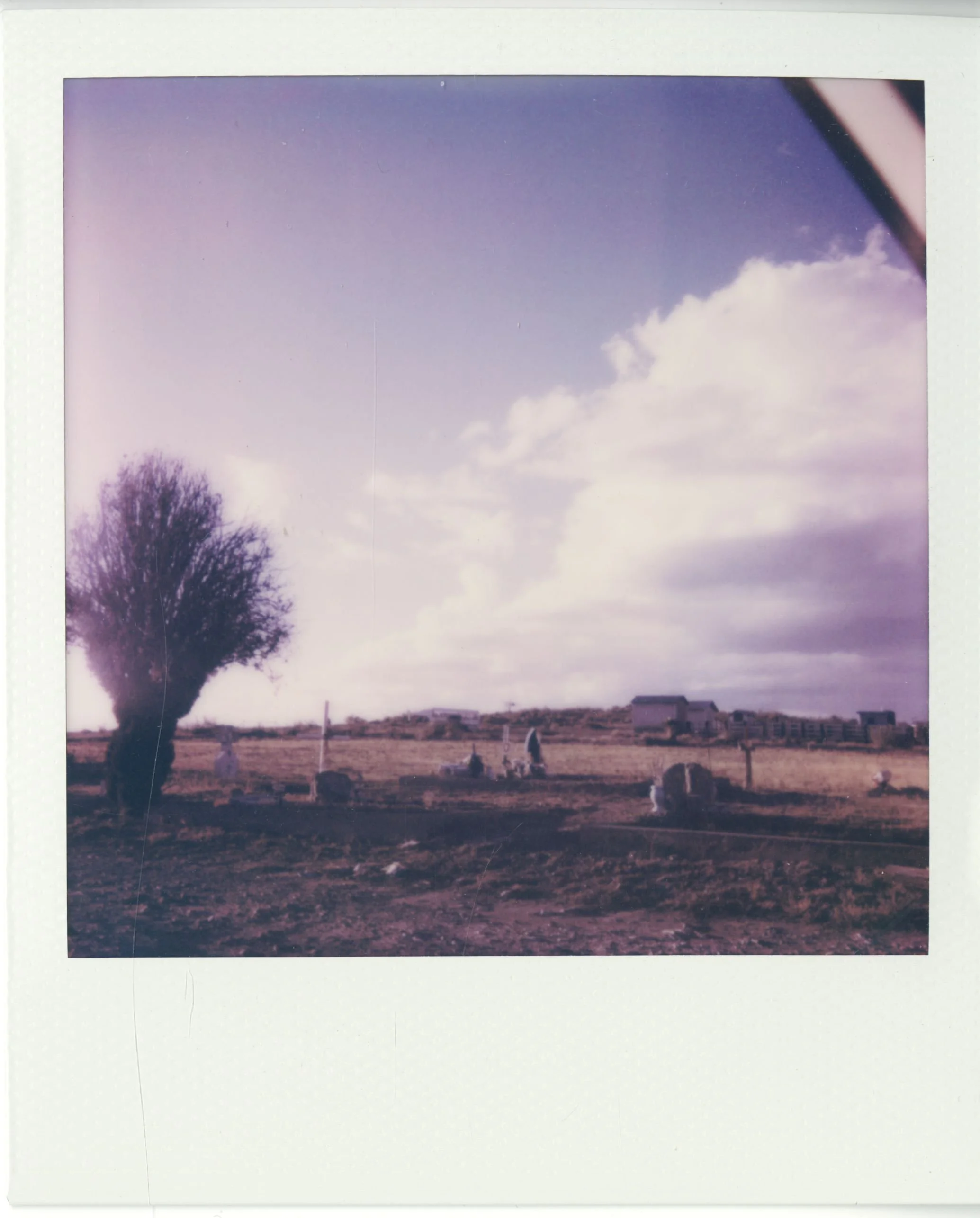 polaroid (171).jpg