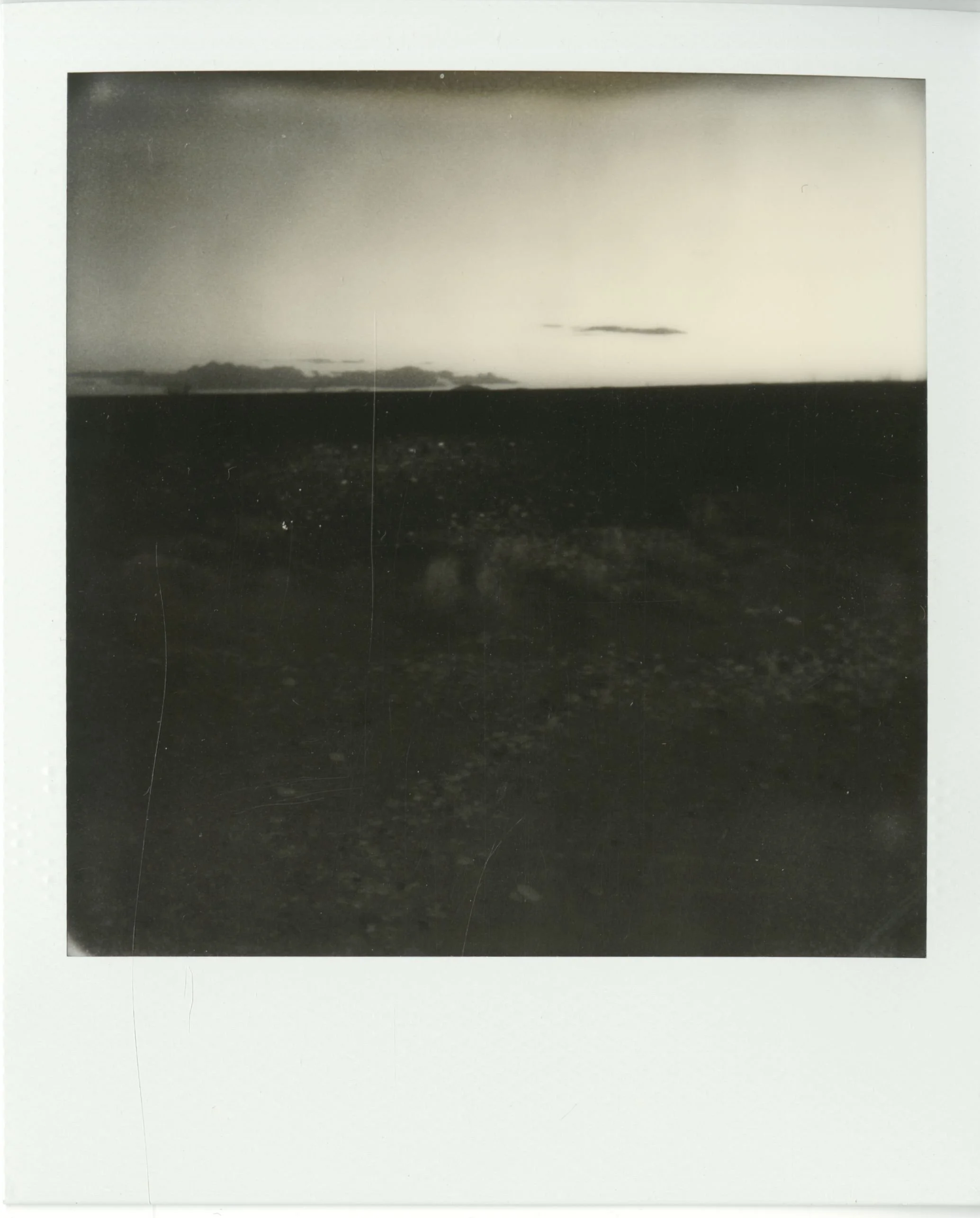 polaroid (173).jpg