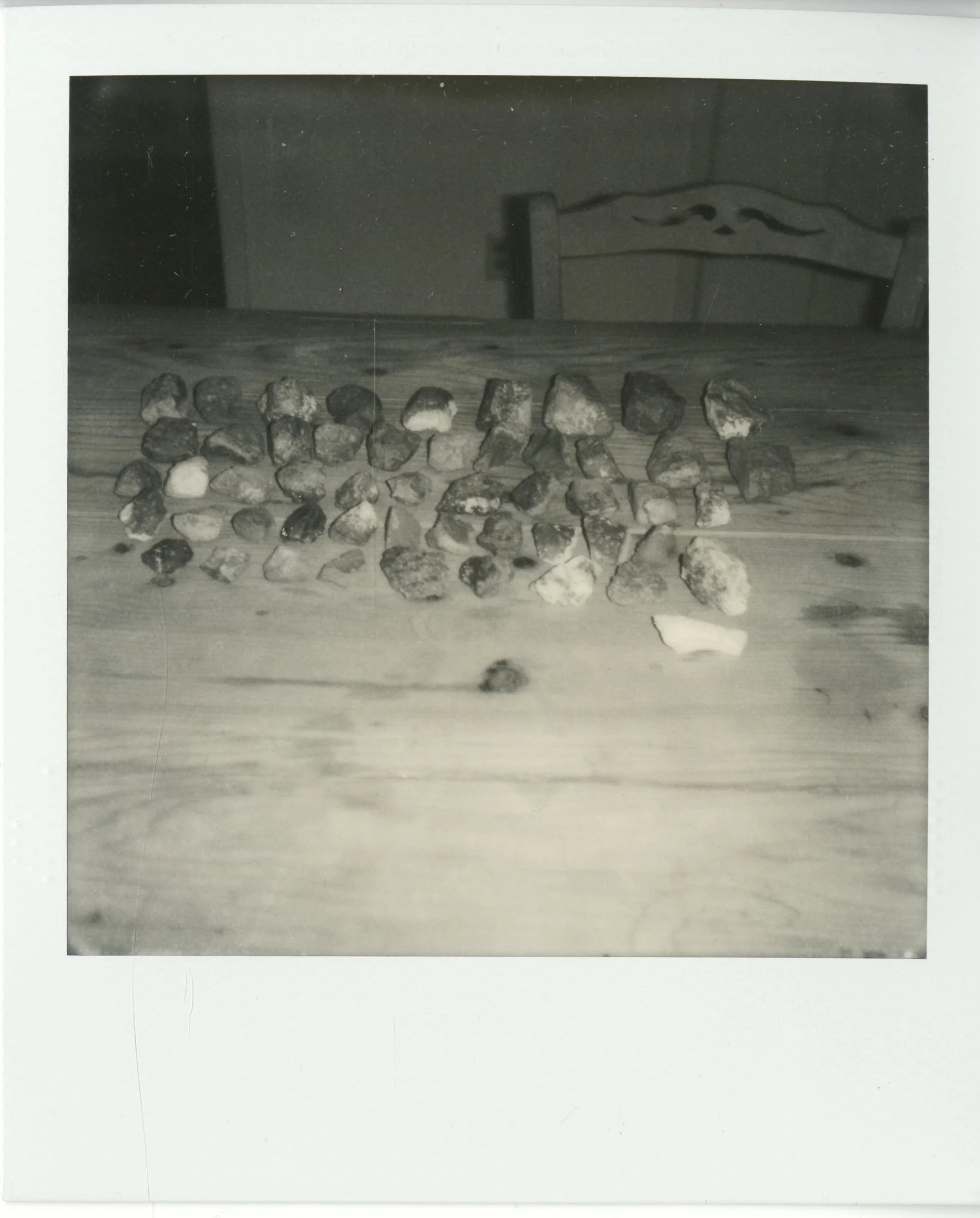 polaroid (174).jpg