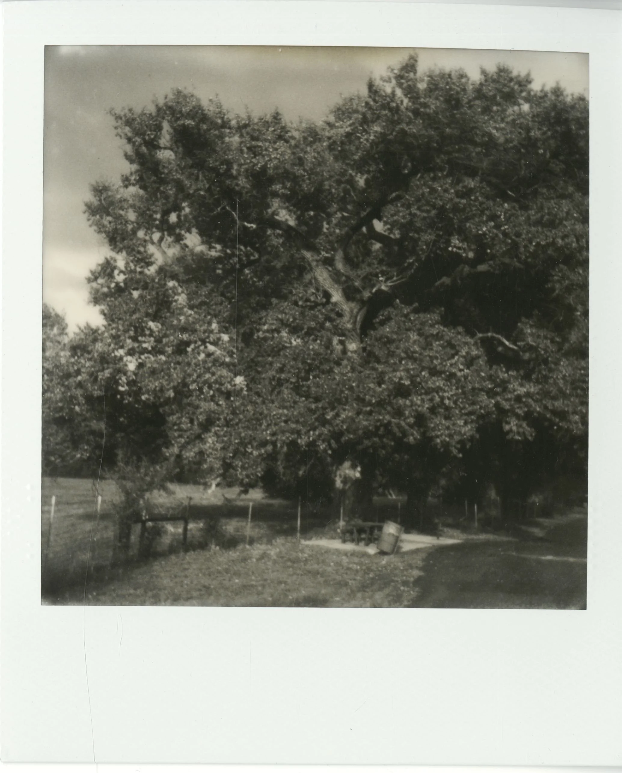 polaroid (175).jpg