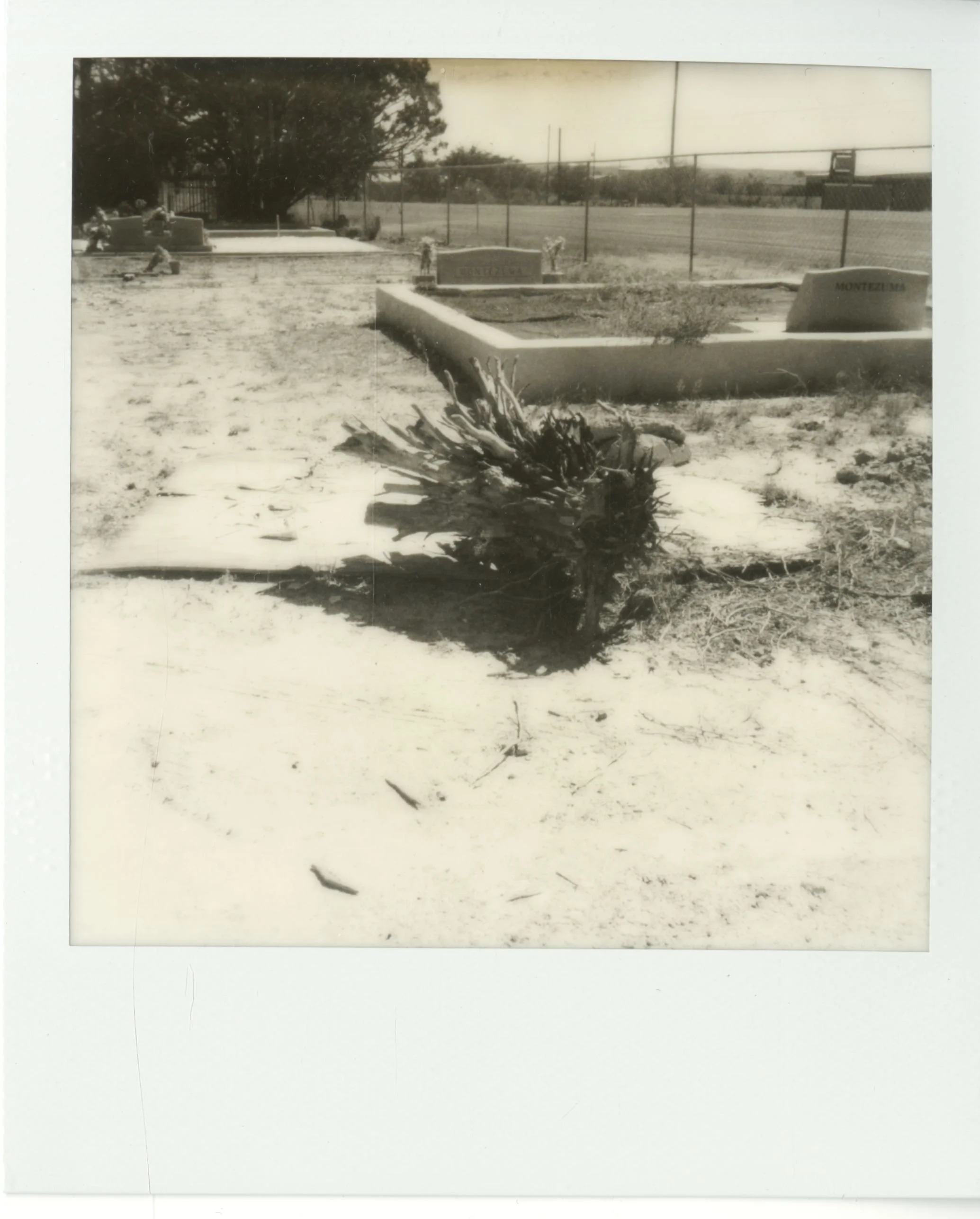 polaroid (177).jpg