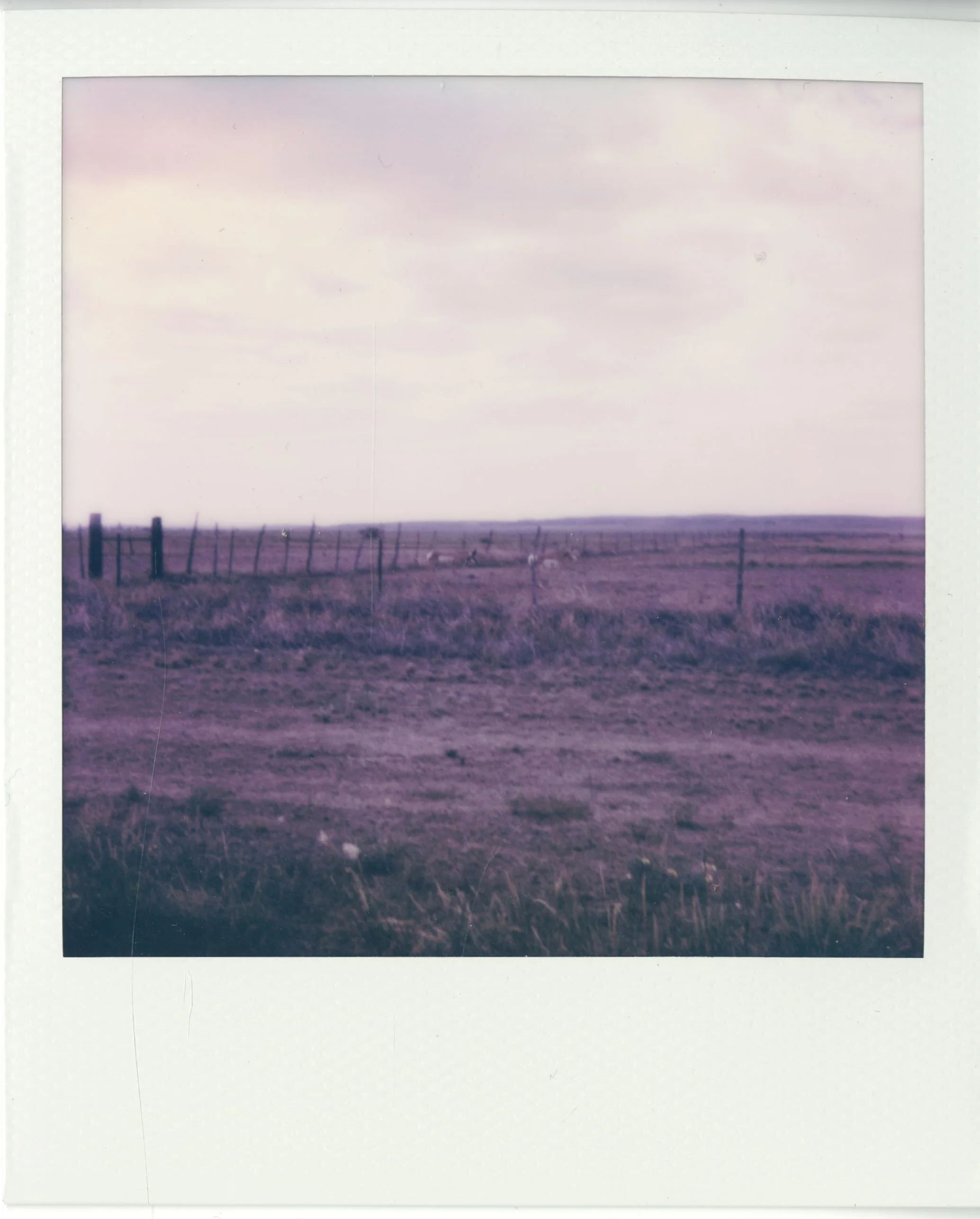 polaroid (178).jpg