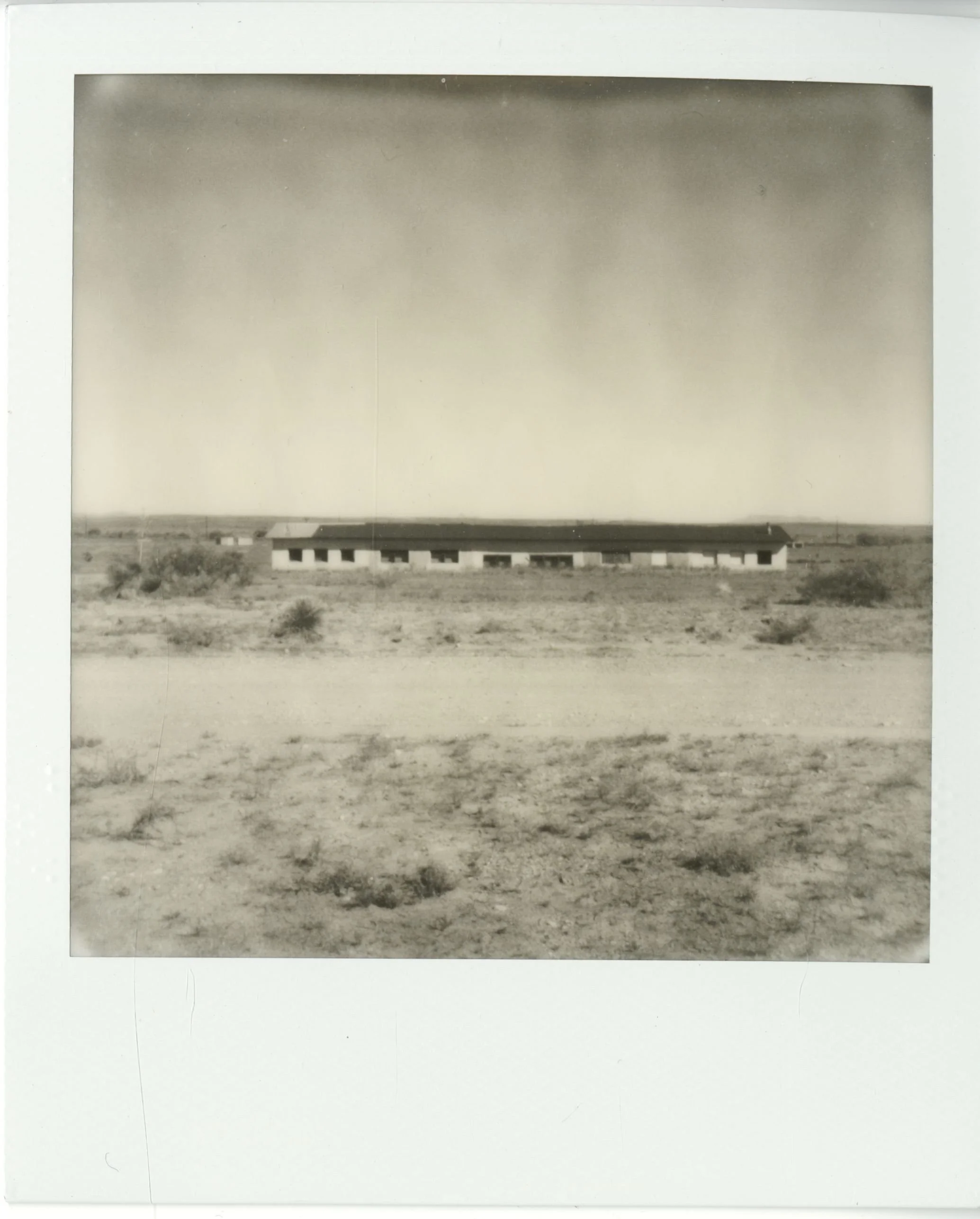 polaroid (179).jpg