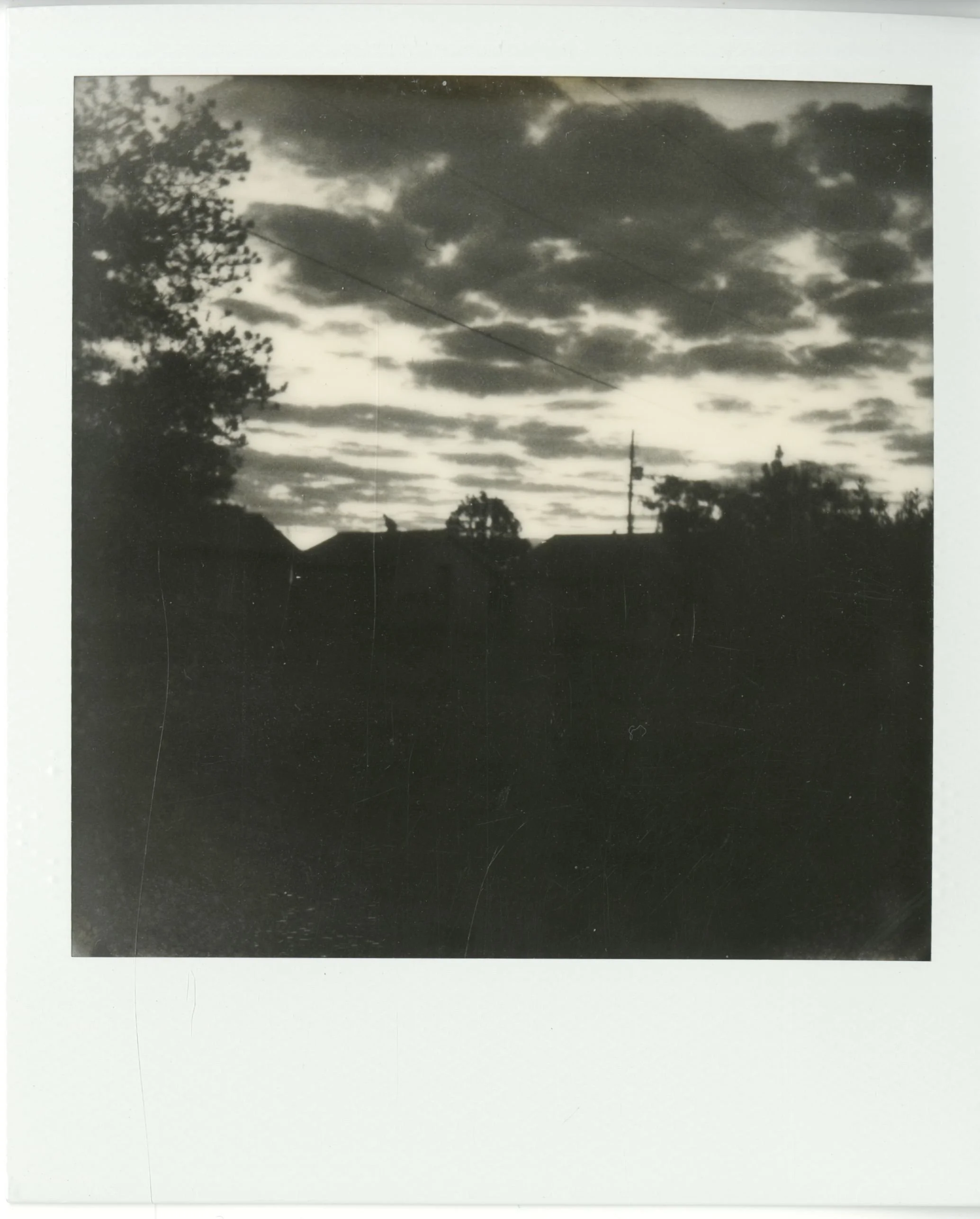 polaroid (183).jpg