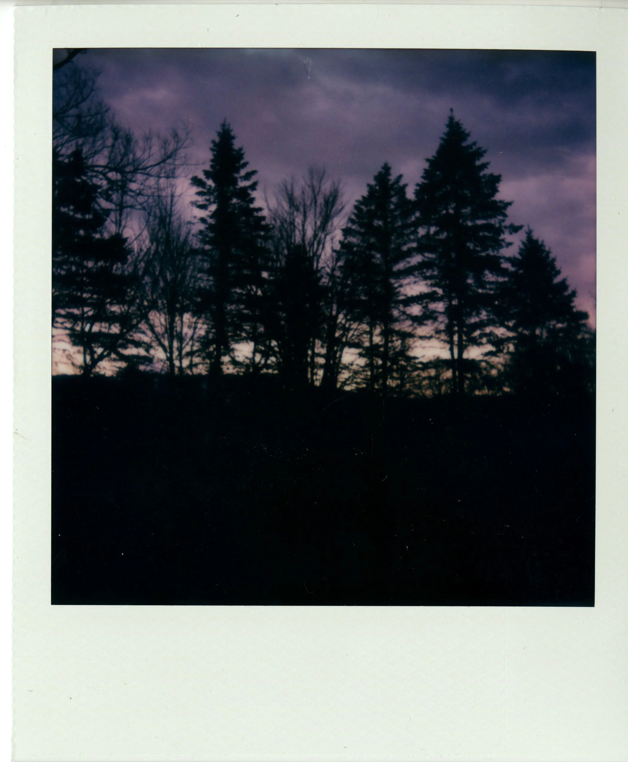 img008.jpg