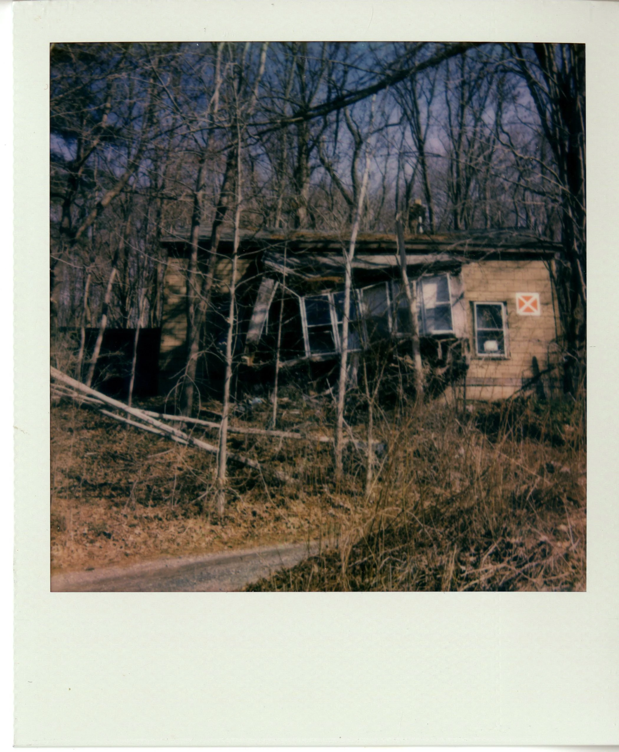 img009.jpg