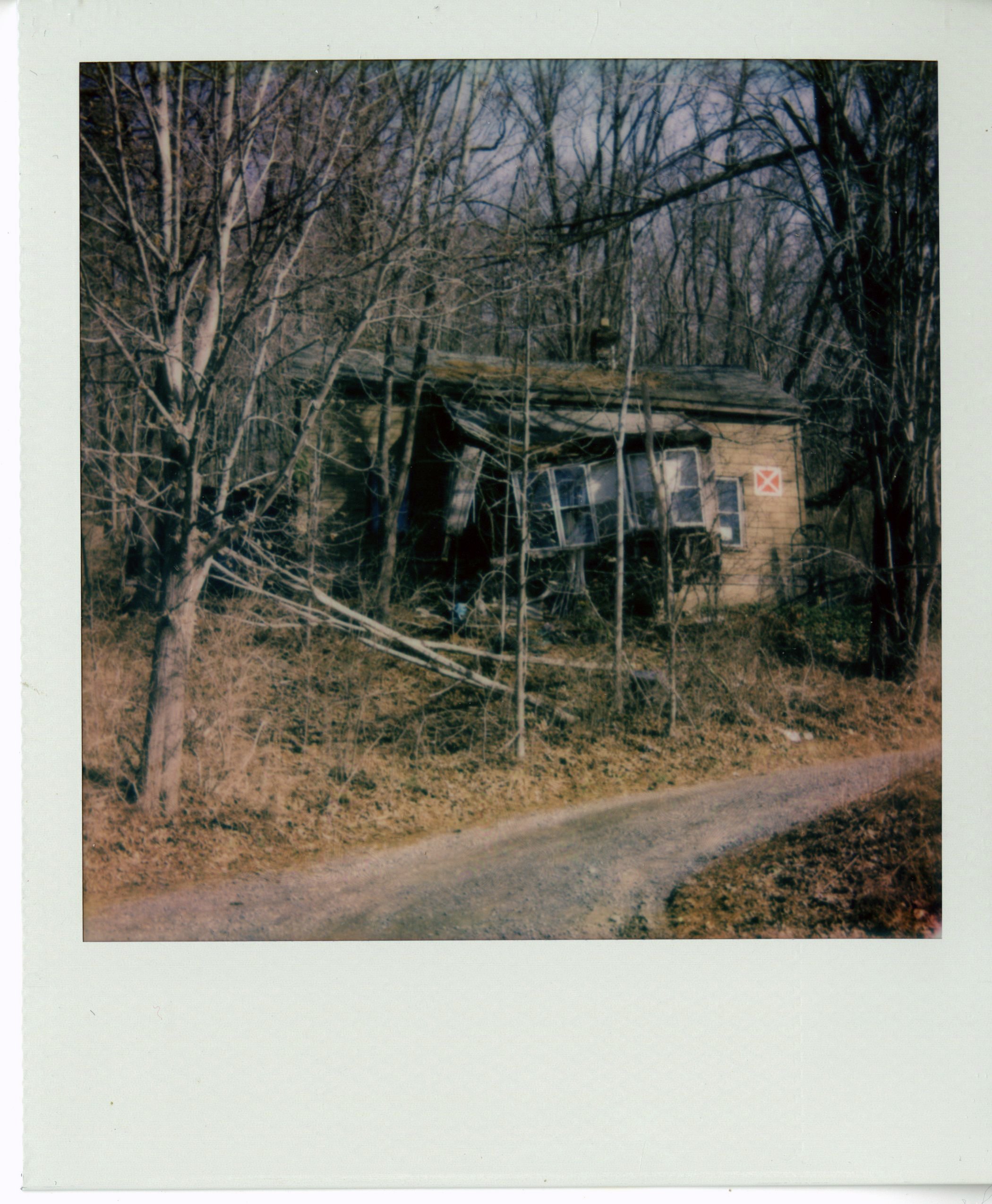 img010.jpg