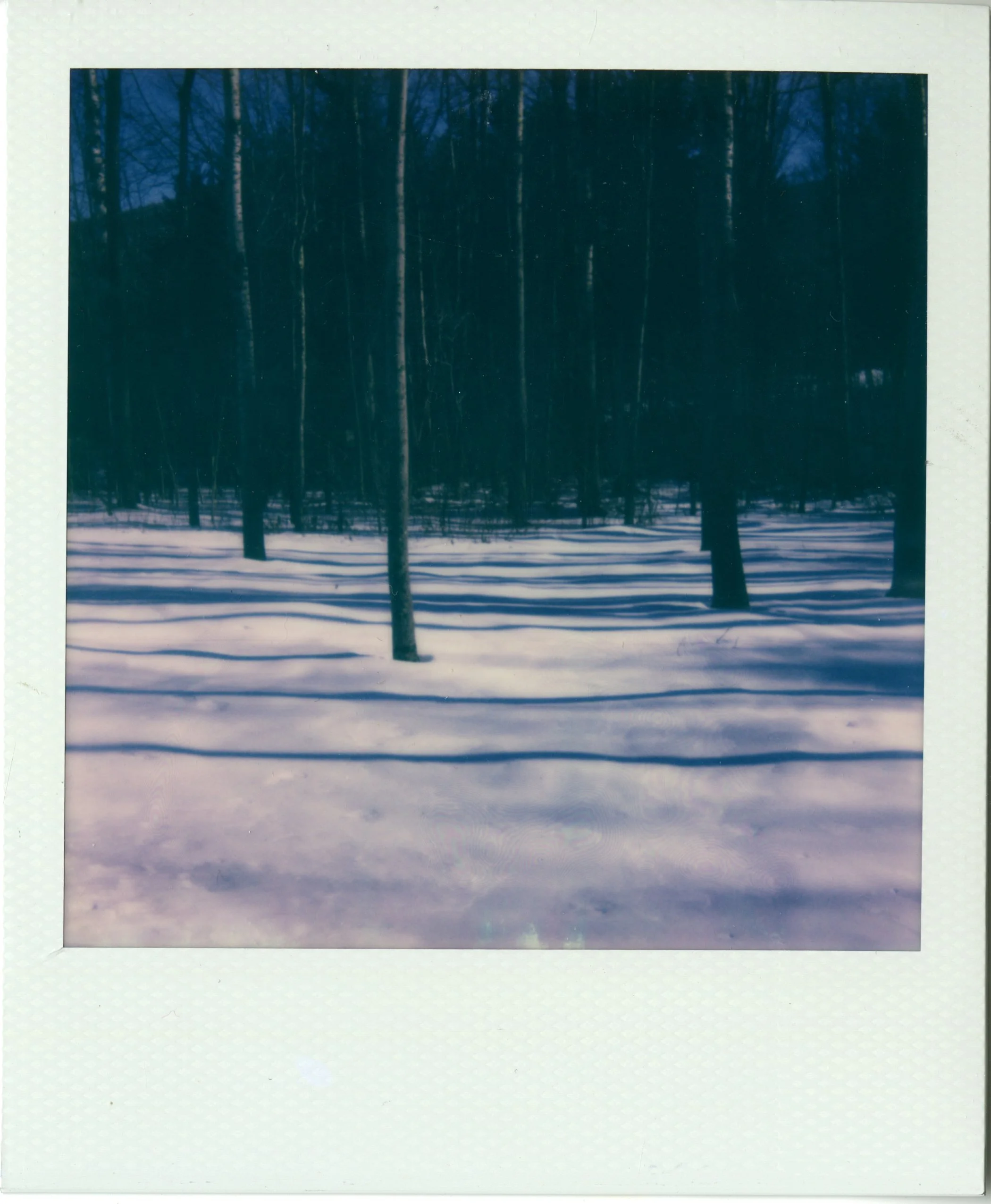 img016.jpg