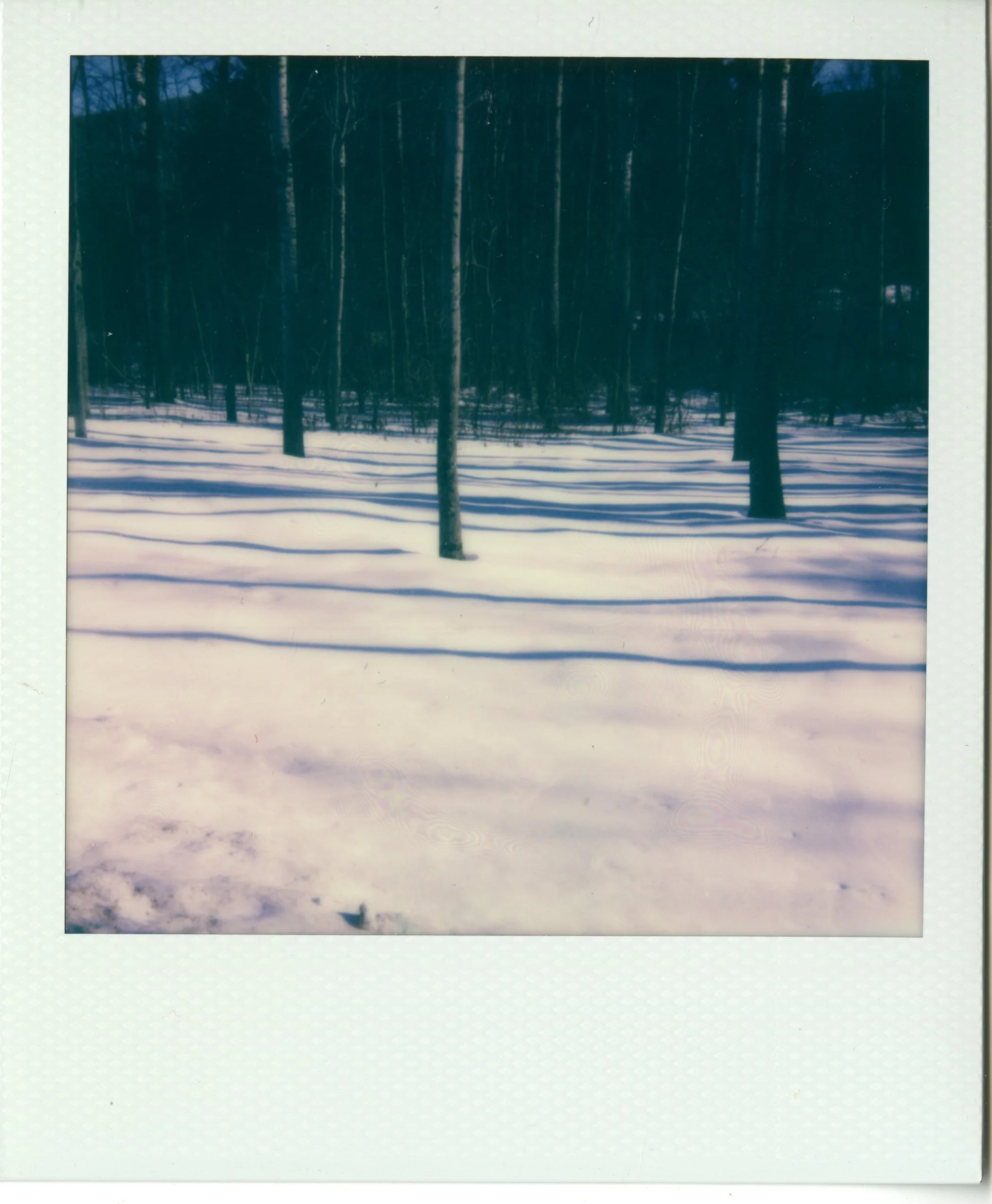 img017.jpg