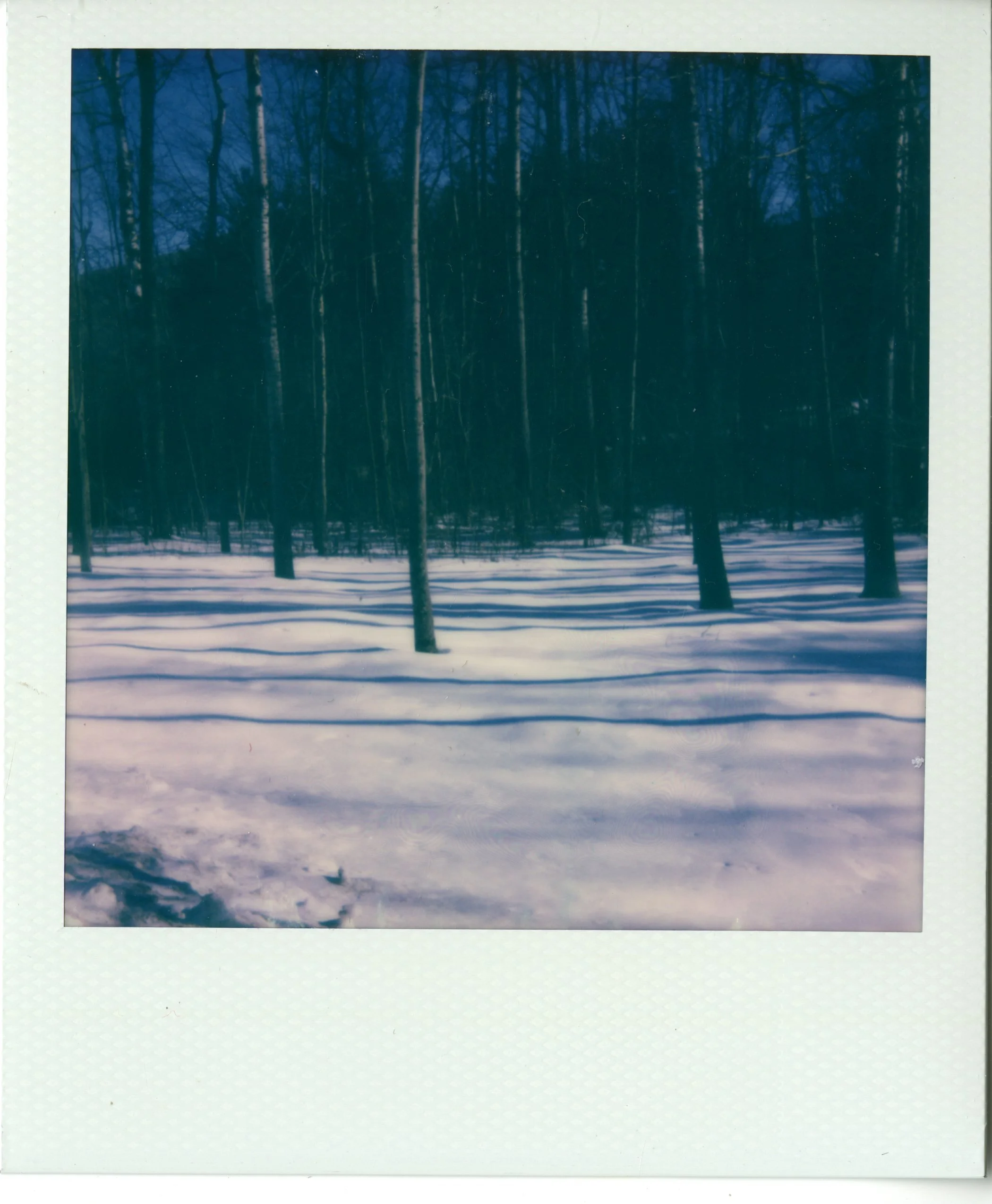 img018.jpg