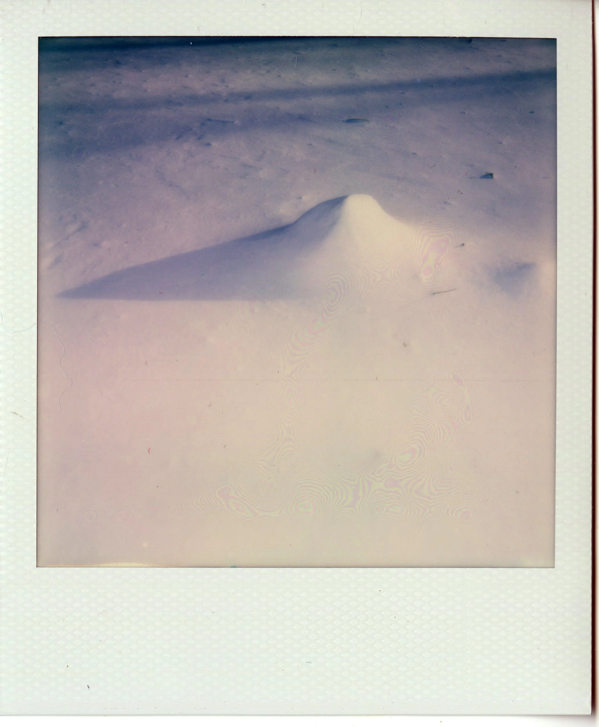 img019.jpg