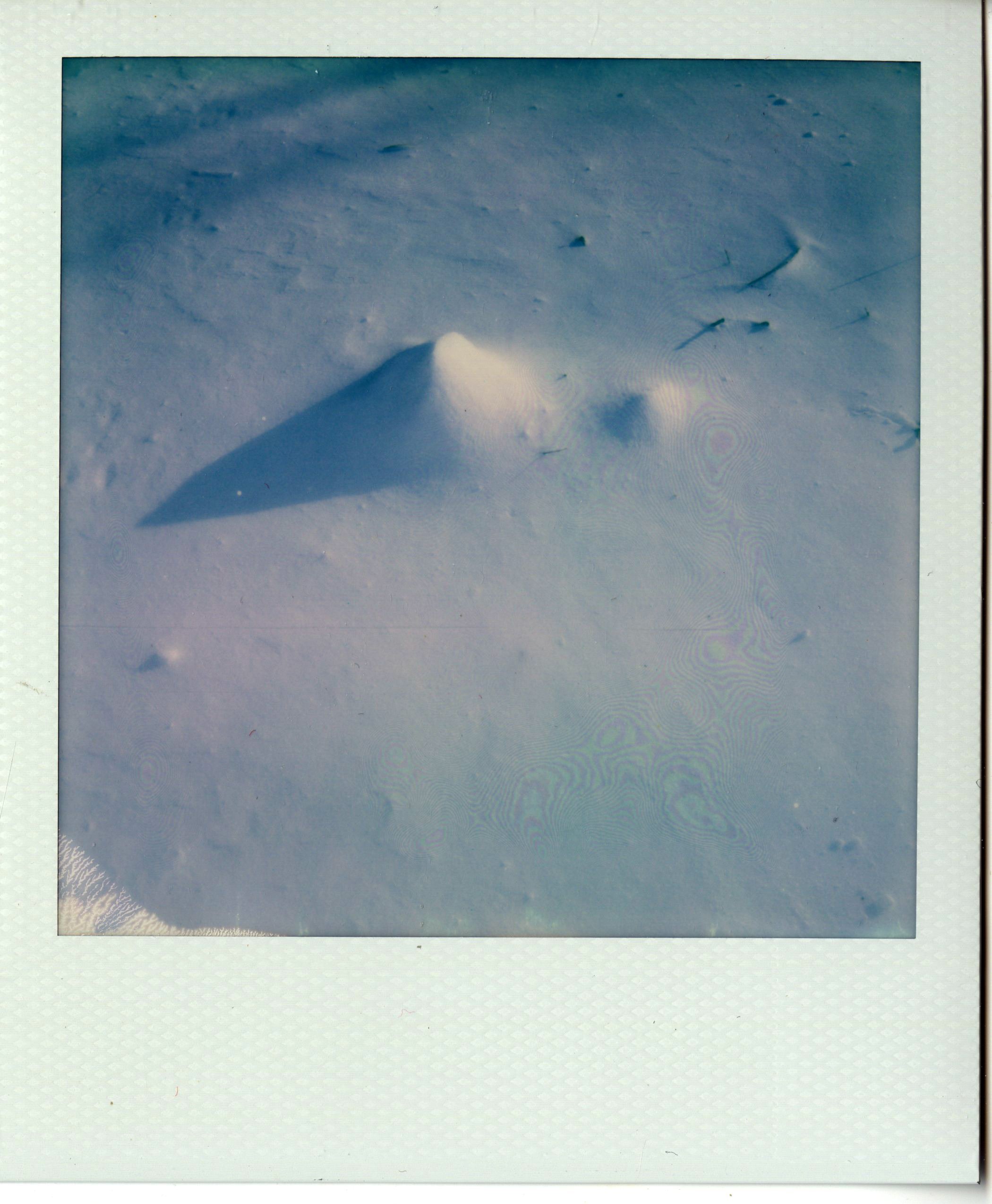 img020.jpg