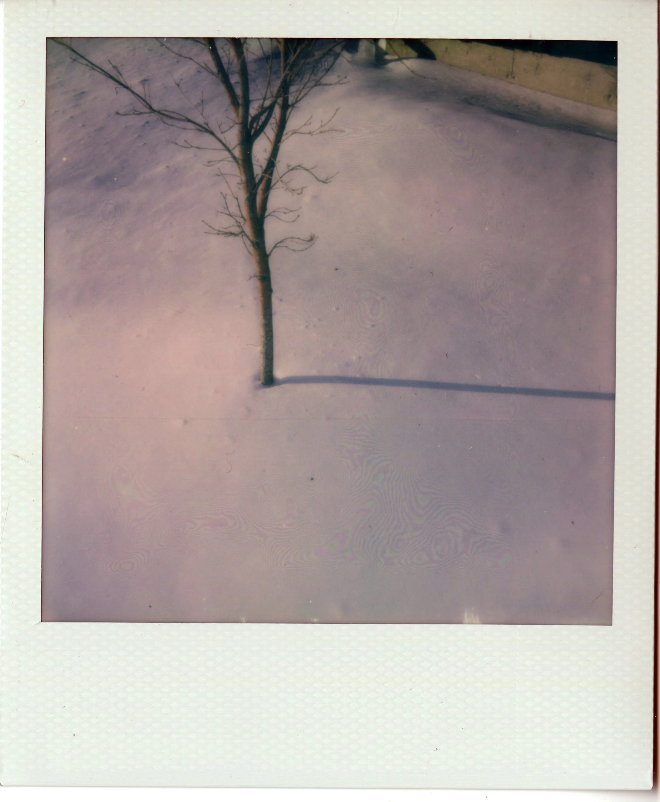 img025.jpg