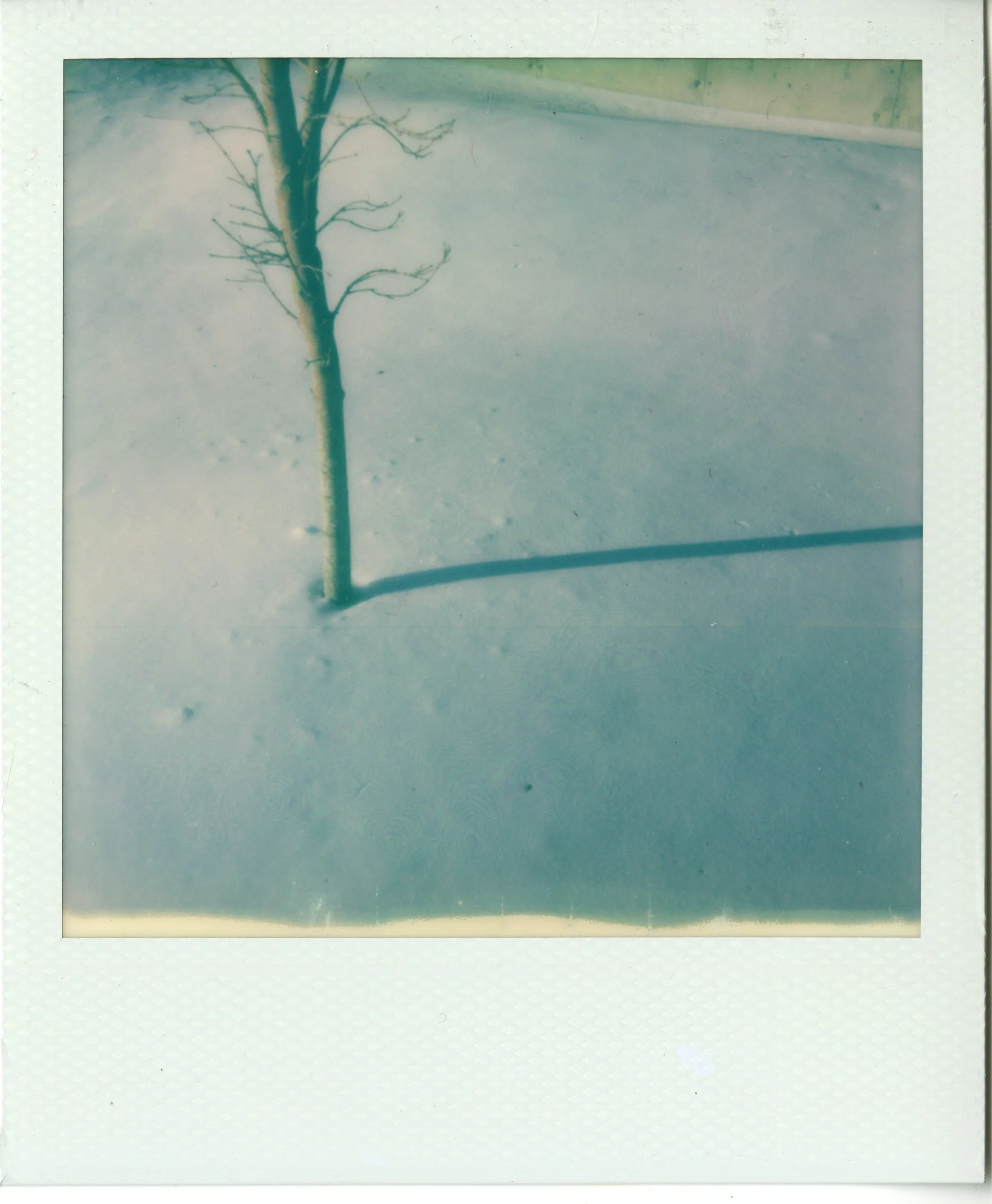 img026.jpg
