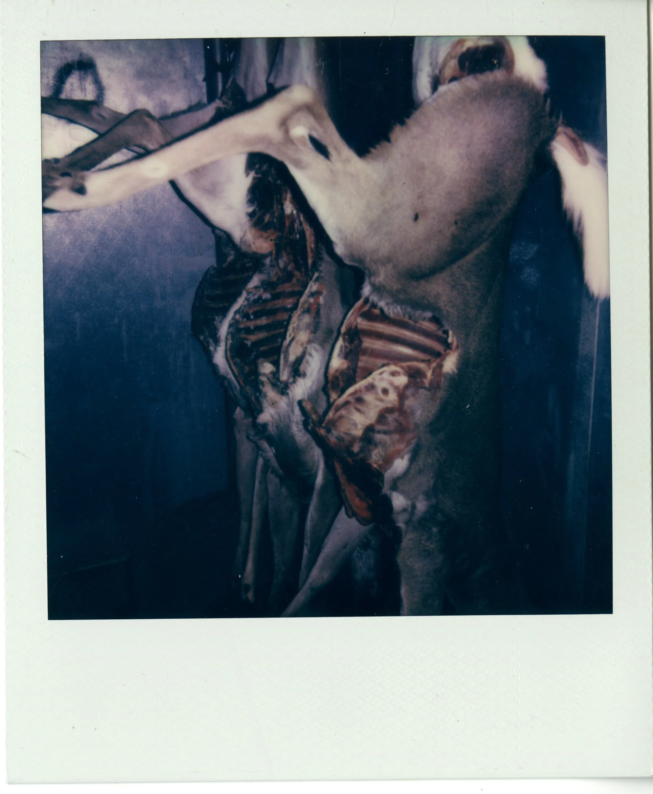 img027.jpg