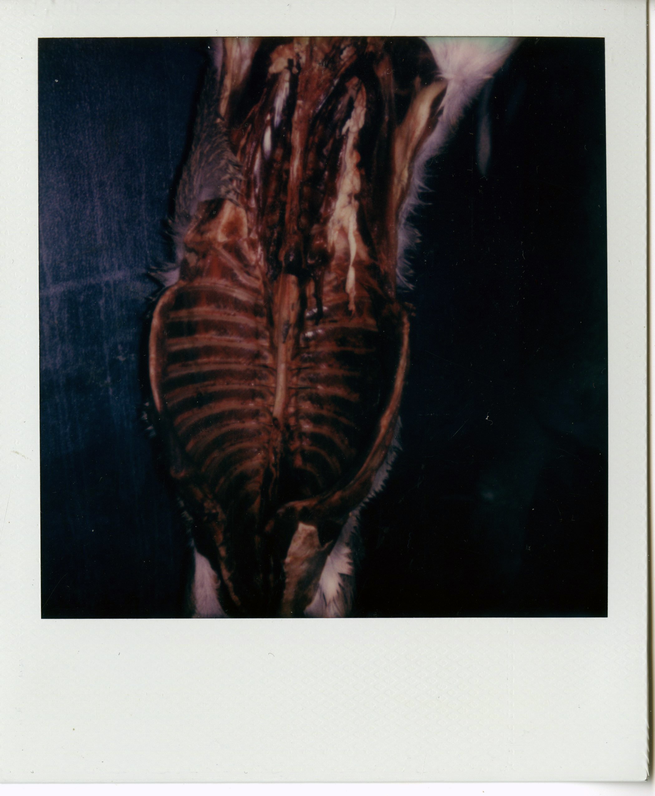 img028.jpg