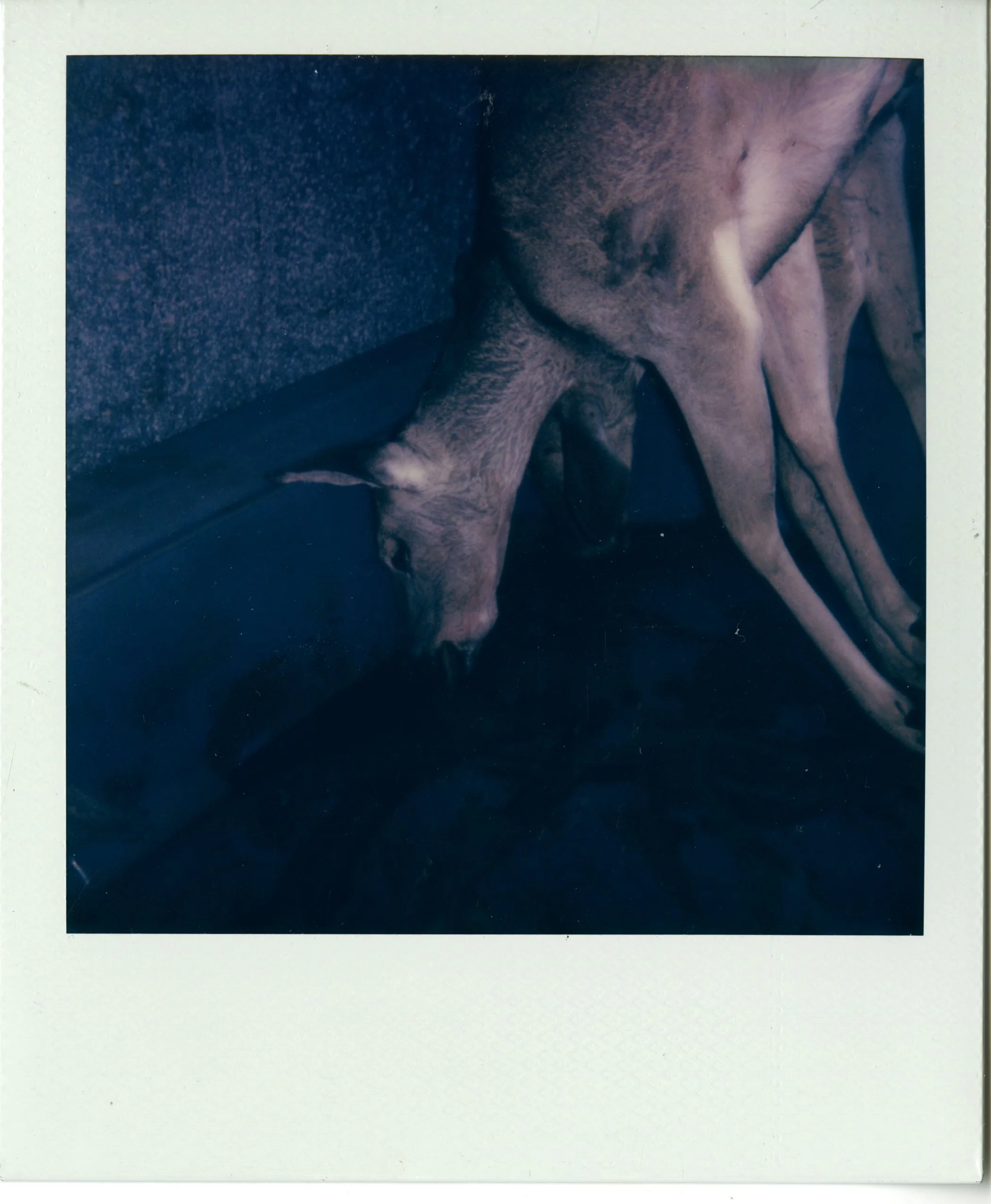 img030.jpg