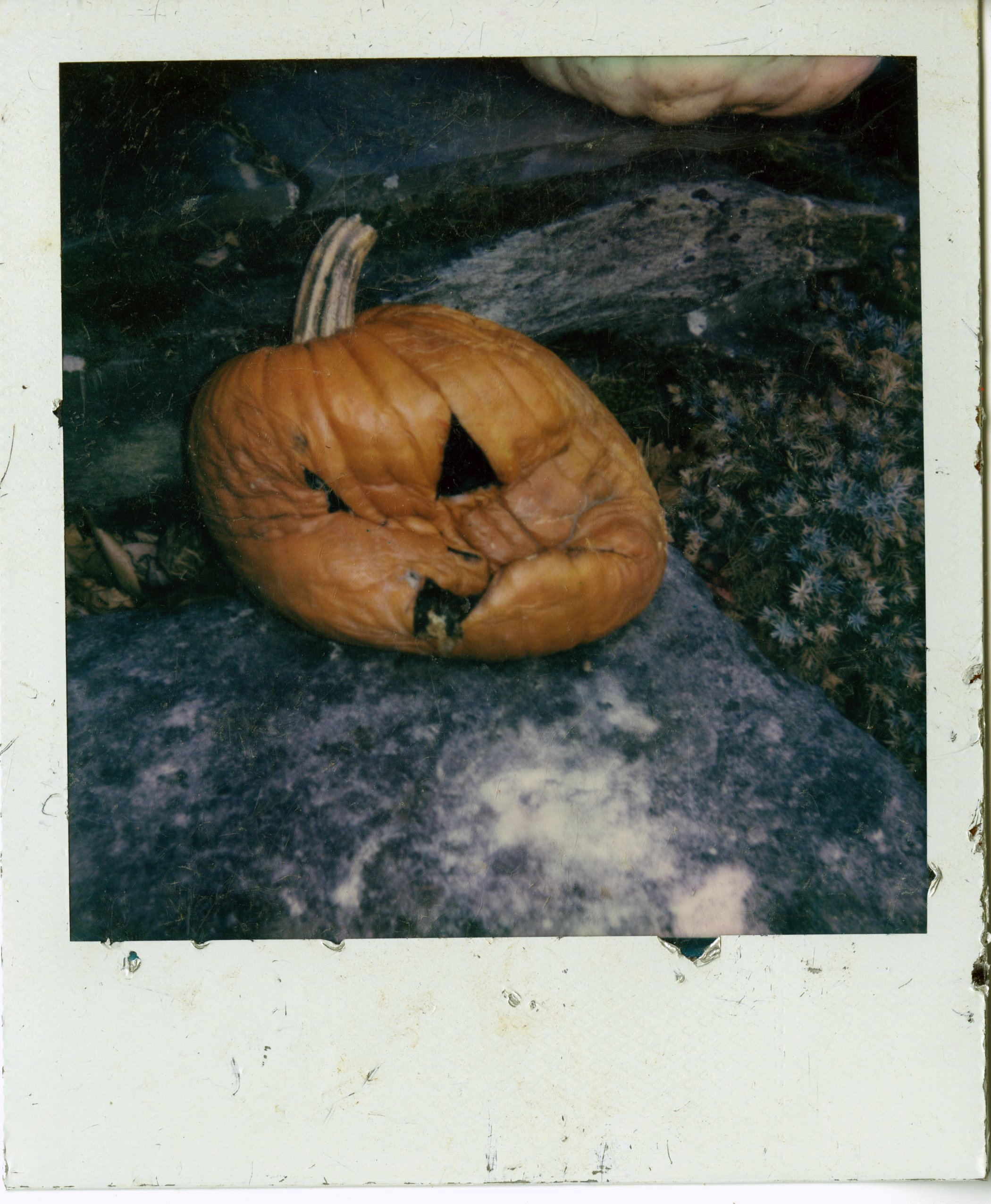 img046.jpg