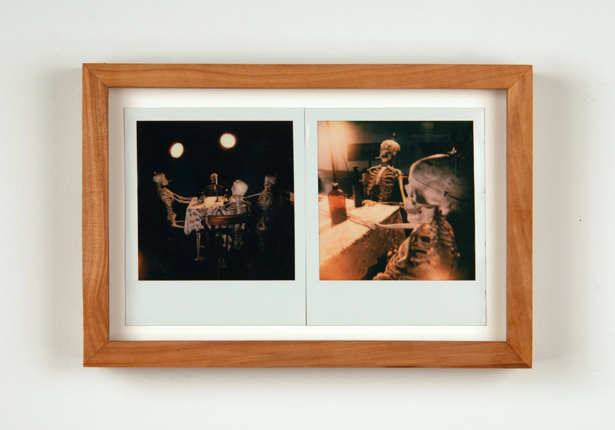   Assignment, Memento Mori Still Life (ARTS241),  2025 Polaroids 6 x 9 inches 